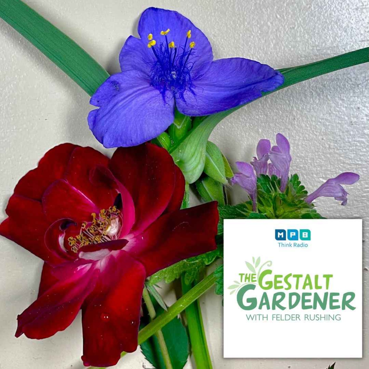 cover art for The Gestalt Gardener | Discussing Your Garden