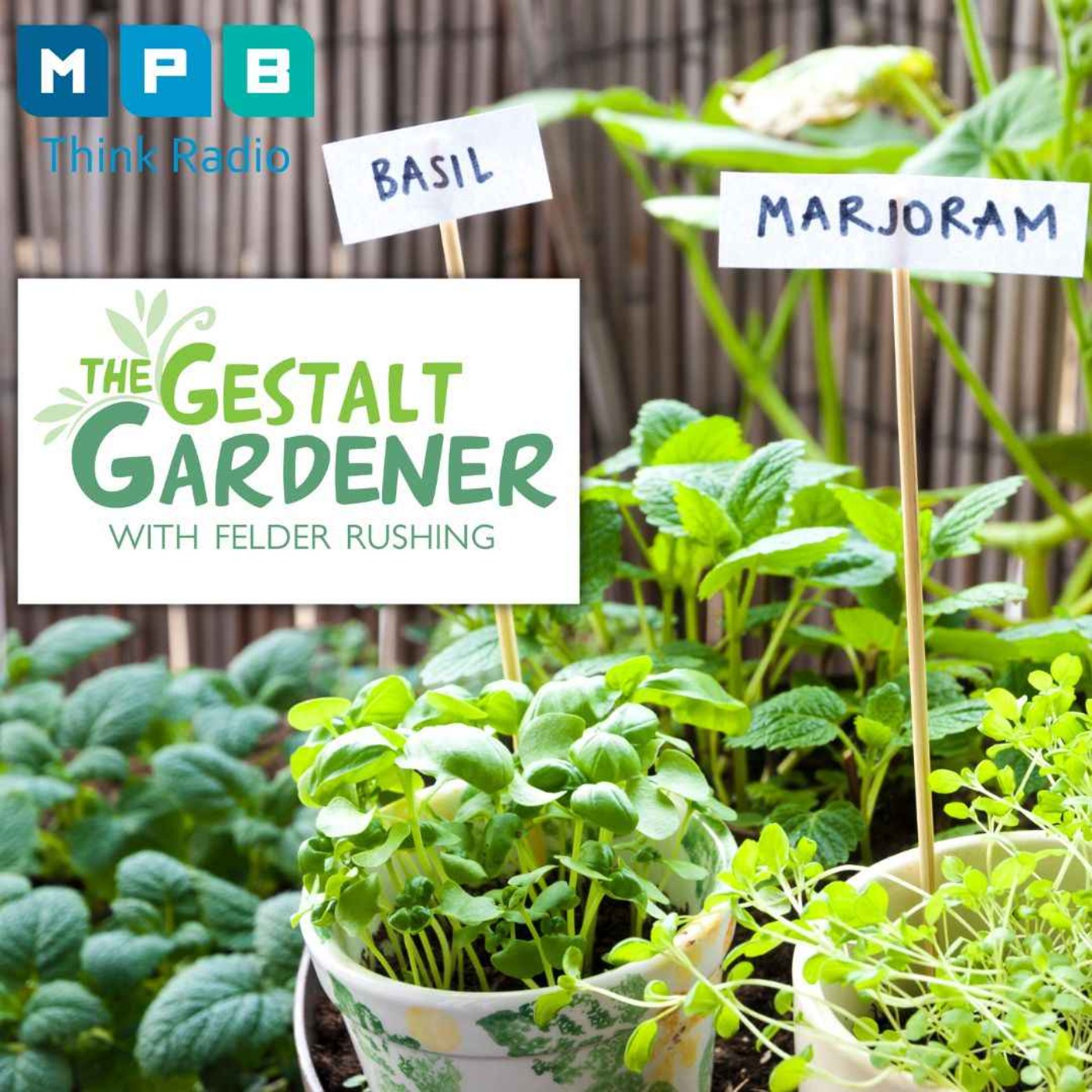 The Gestalt Gardener | Planting for Summer