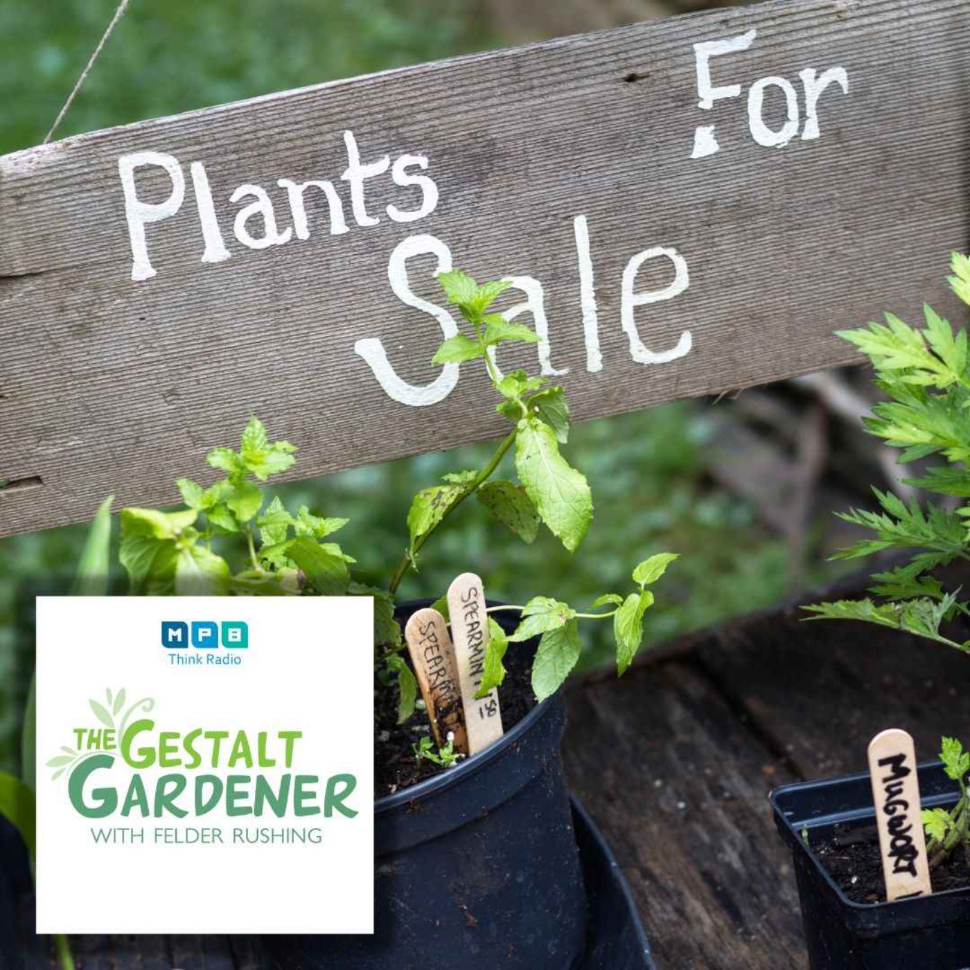 cover art for The Gestalt Gardener | Plant Sales & More!