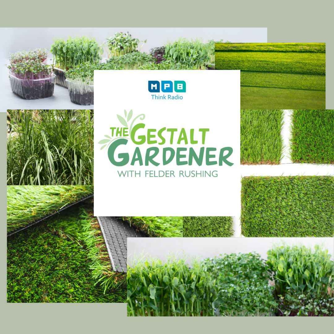 The Gestalt Gardener | All Things Grass
