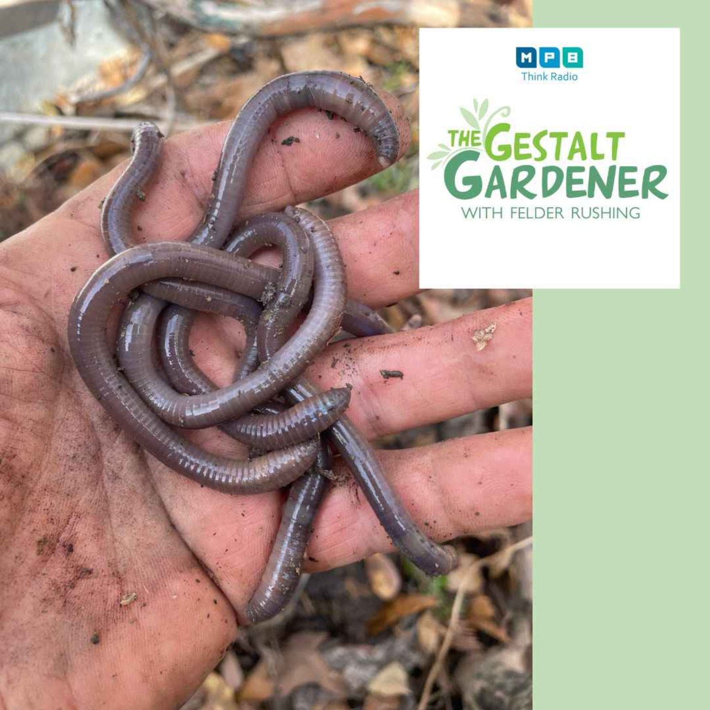 The Gestalt Gardener | Nightcrawlers
