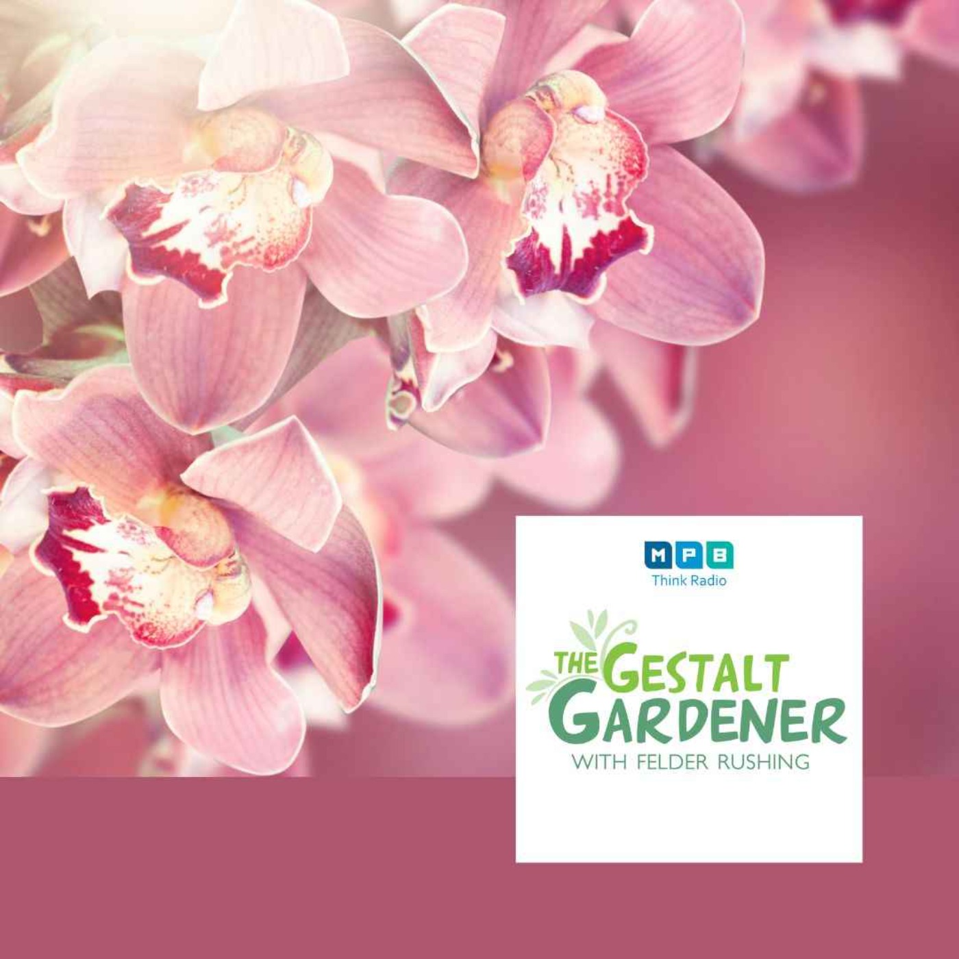 The Gestalt Gardener | Deep South Gardening