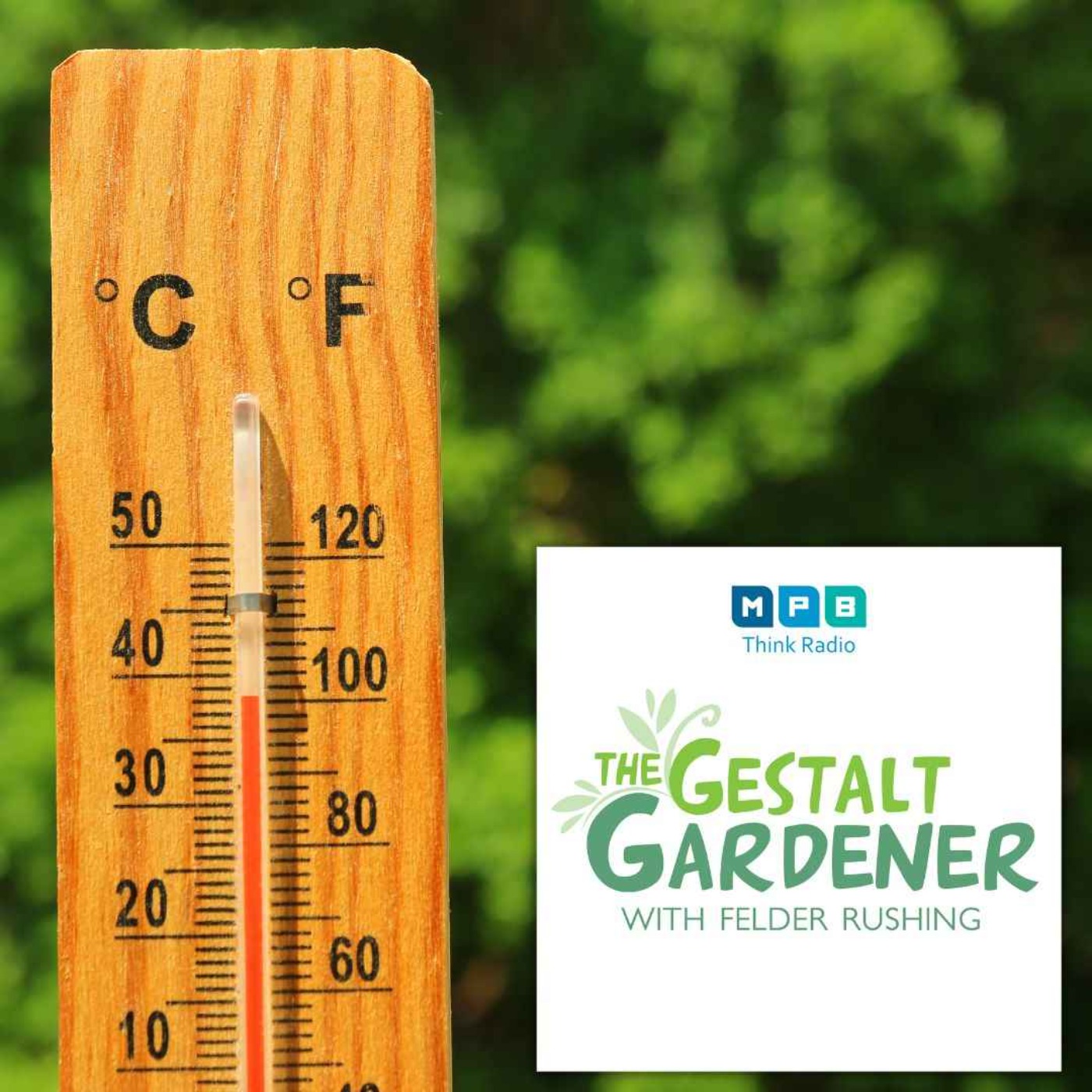 The Gestalt Gardener | Dog Days of Summer