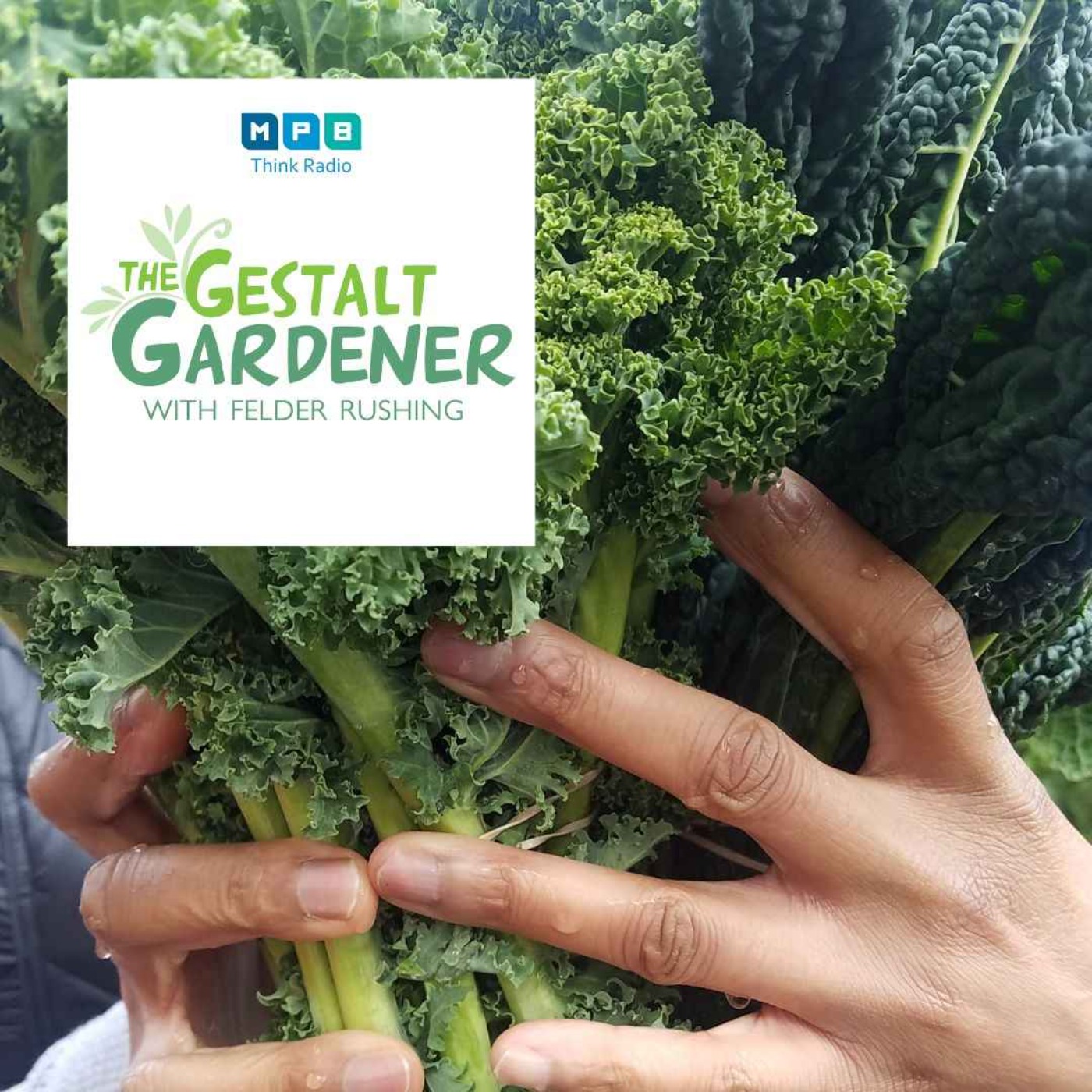 cover art for The Gestalt Gardener | Starter Gardens
