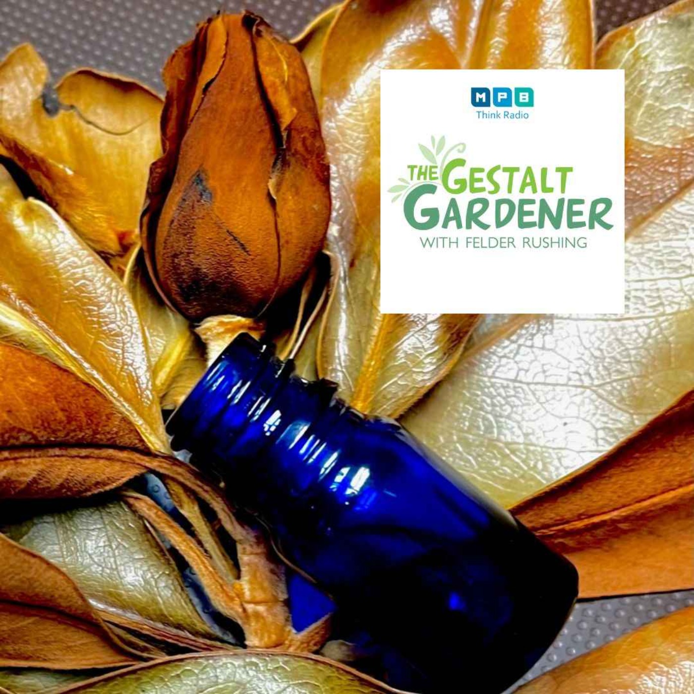 cover art for The Gestalt Gardener | Scat! Sneezes, Bottle Trees, and Browned Out Magnolias... Welcome Back, Felder!