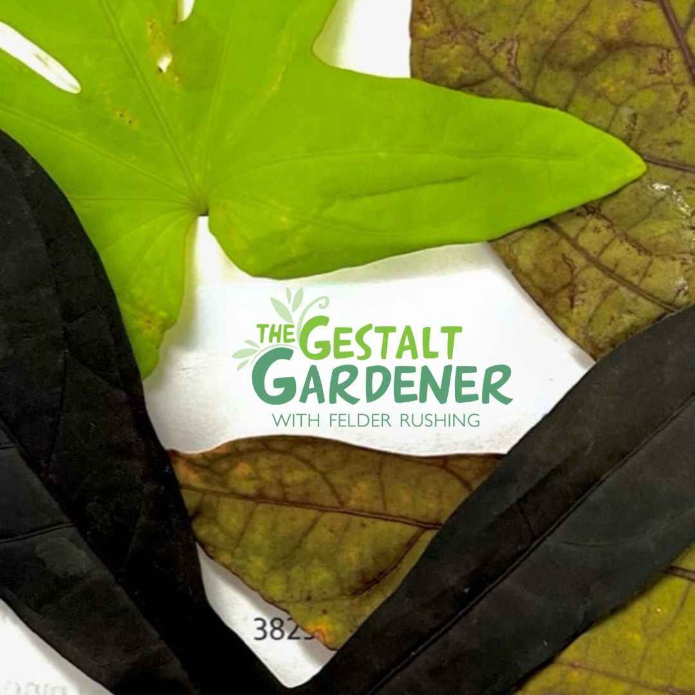 cover art for The Gestalt Gardener | Sweet Potatoes - More Than Just Good Eating