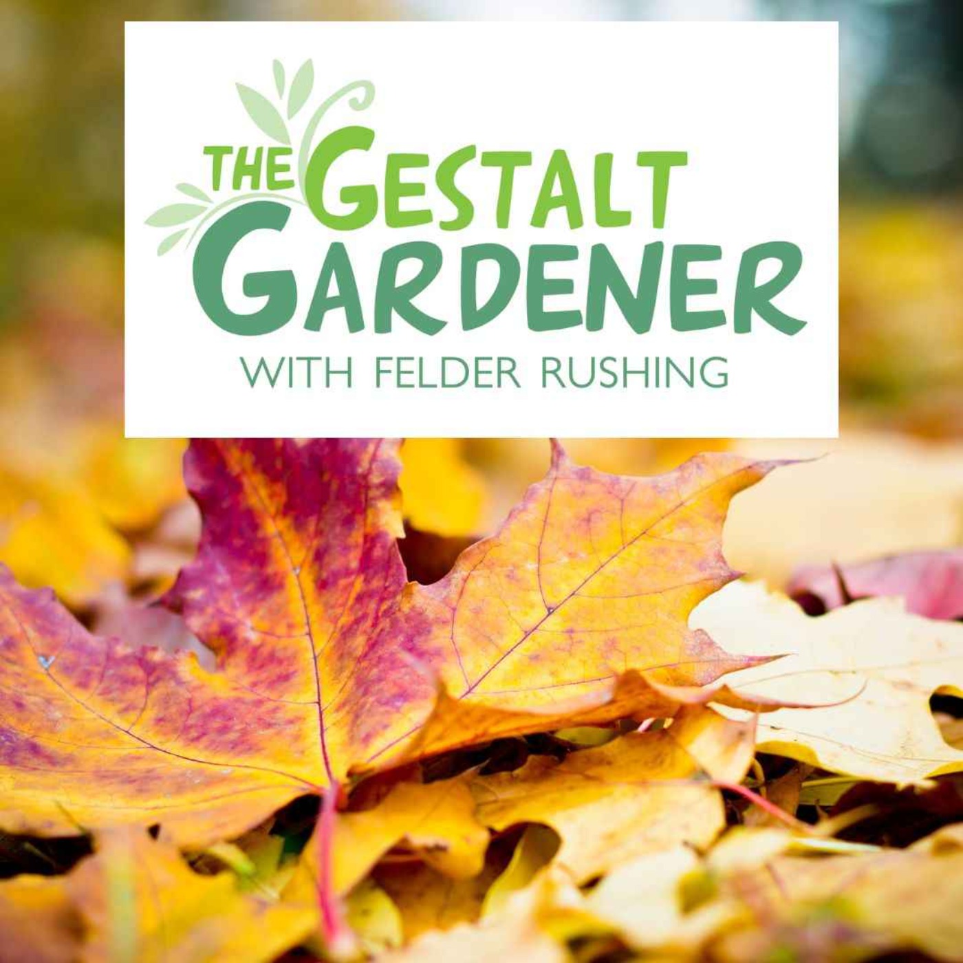 cover art for The Gestalt Gardener | The First Week of Autumn!