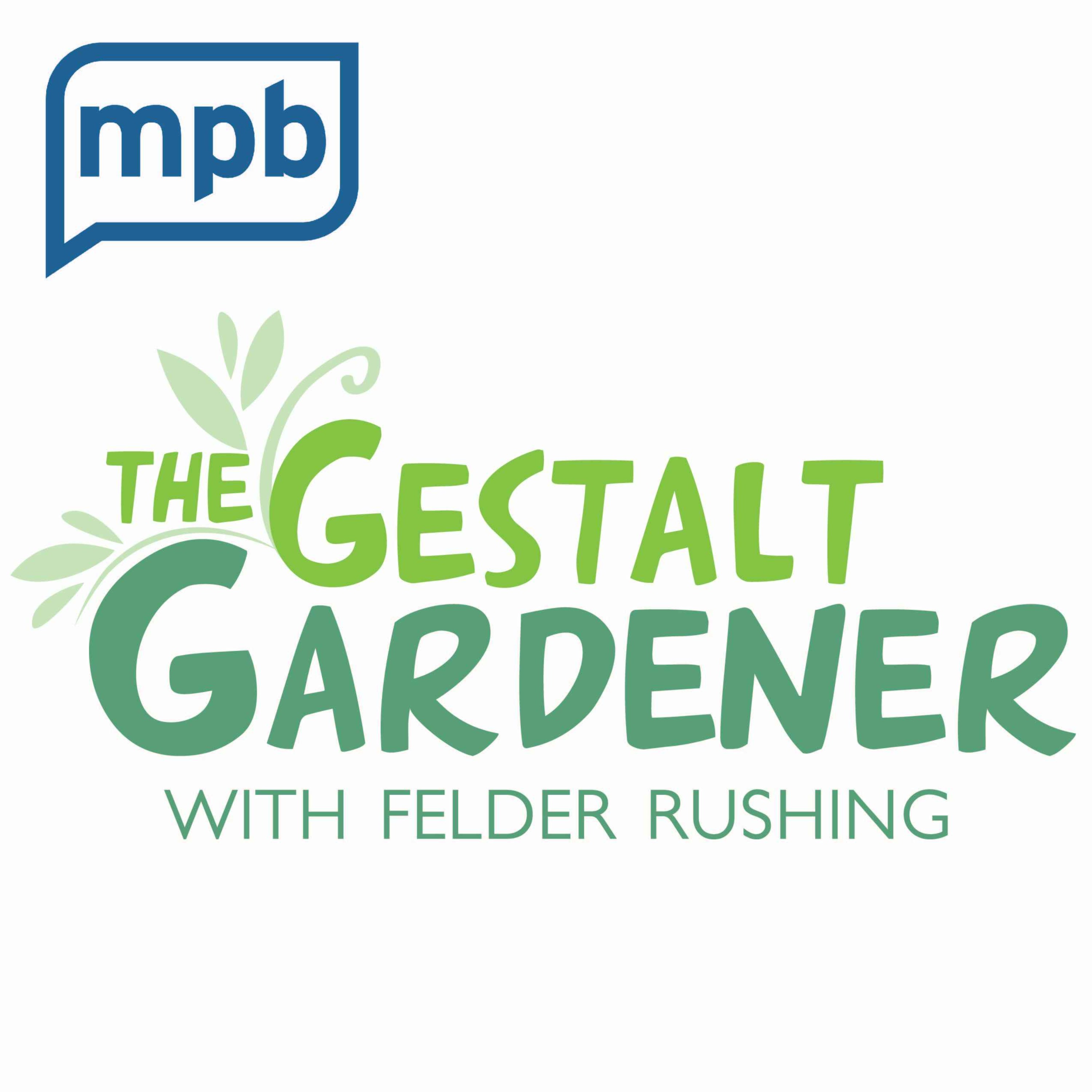 cover art for The Gestalt Gardener | Masters on the Coast