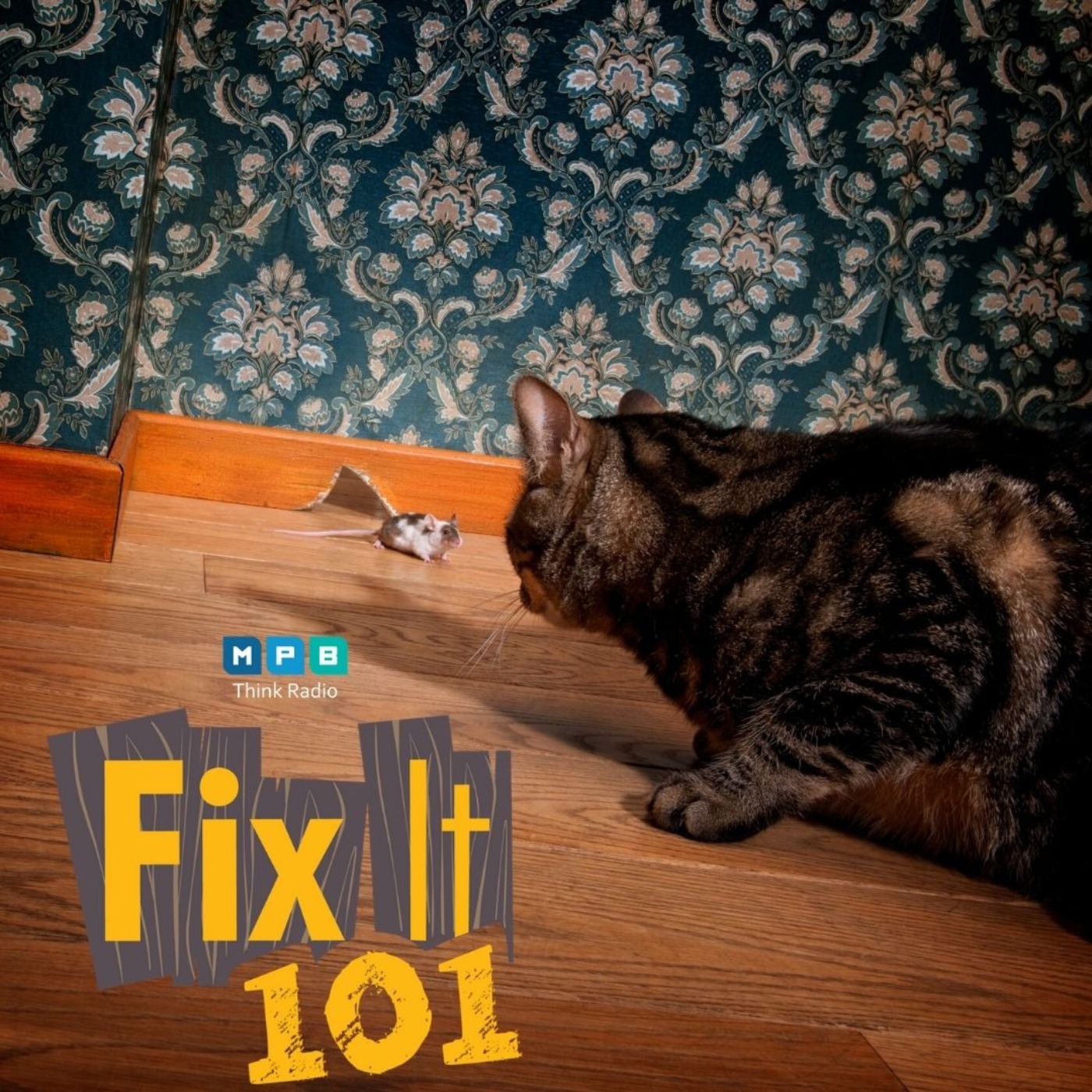 Fix It 101: House Pest