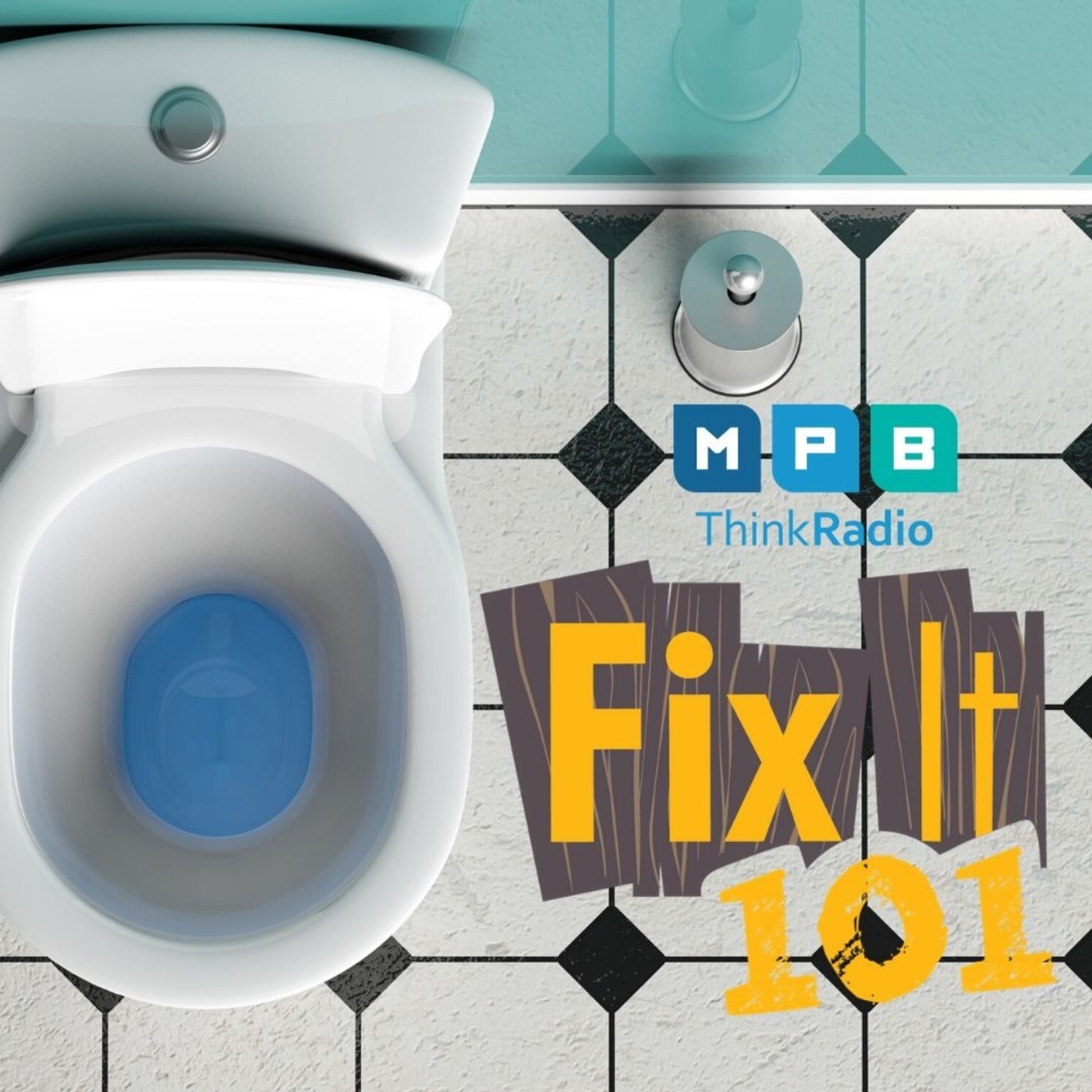 Fix It 101: Toilet Time