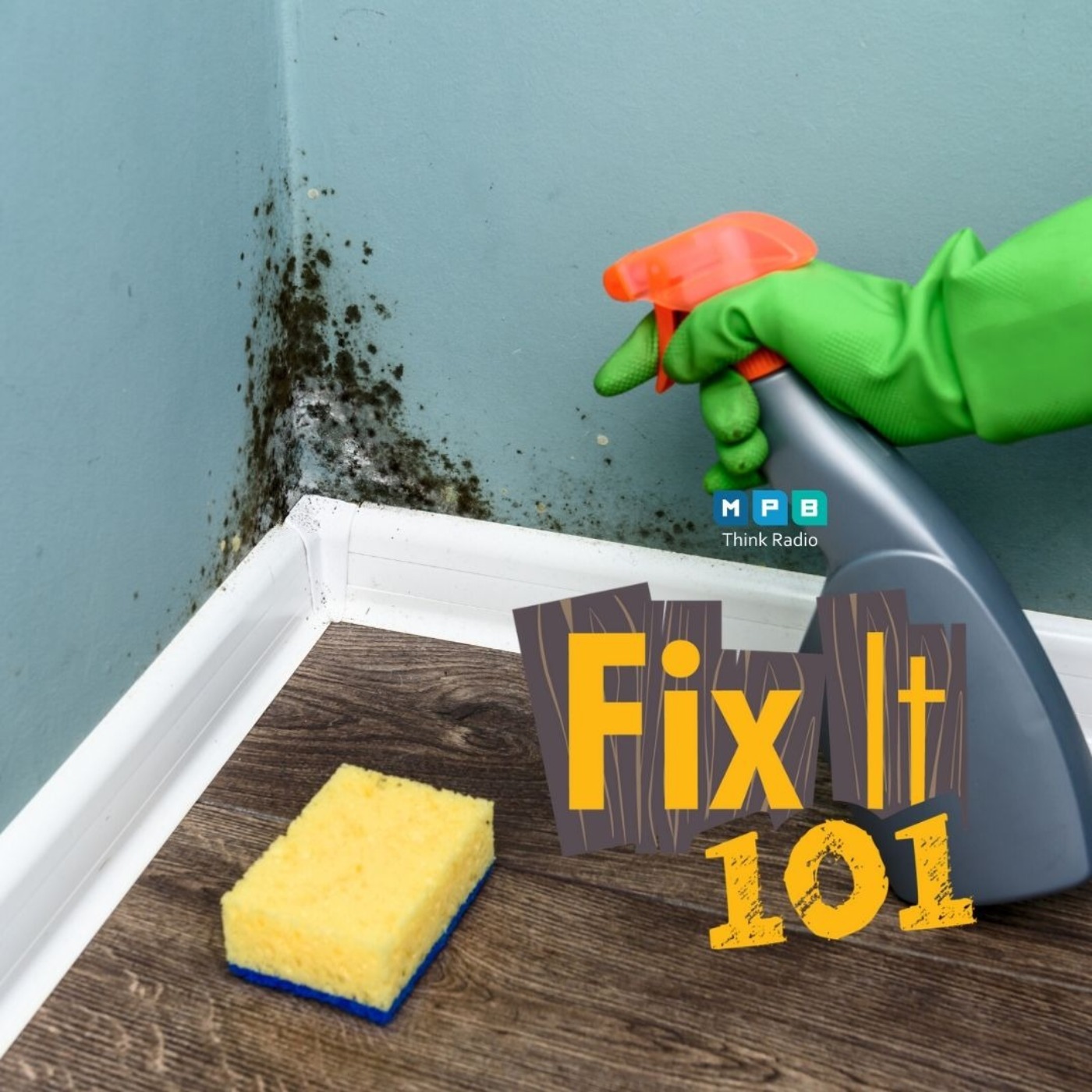 Fix It 101: Really Clean