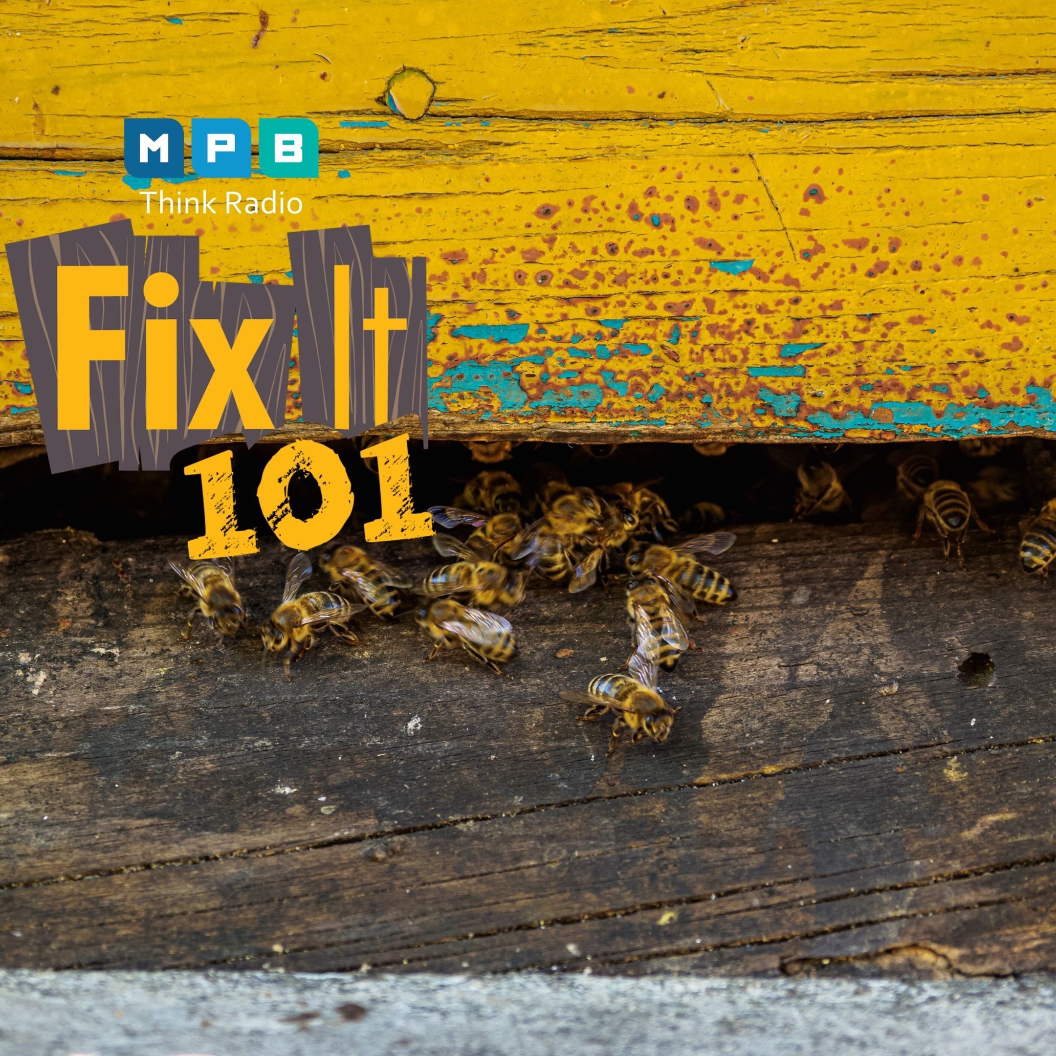 Fix It 101: No Bees In The House