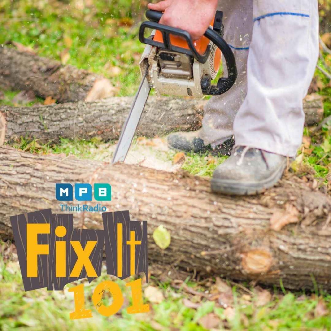 Fix It 101 | Hiring After a Storm