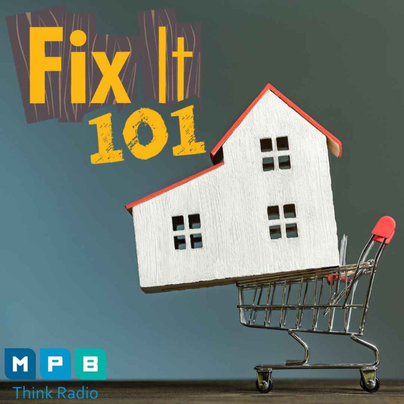 Fix It 101 | Home Holiday Shopping