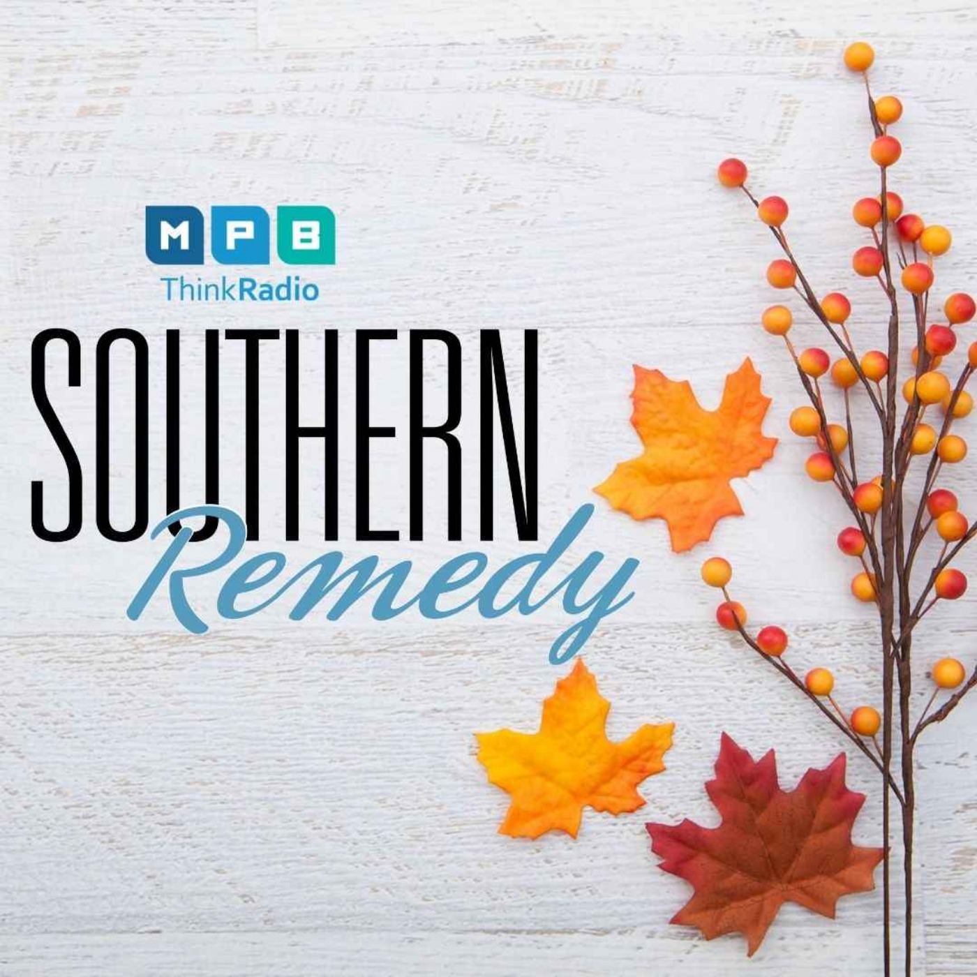 cover art for Southern Remedy Relatively Speaking | "Holiday Stress"