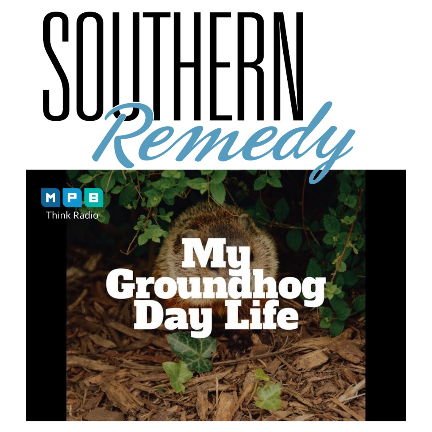 Southern Remedy Relatively Speaking| “GROUNDHOG DAY:  GETTING OUT OF THE RUT”