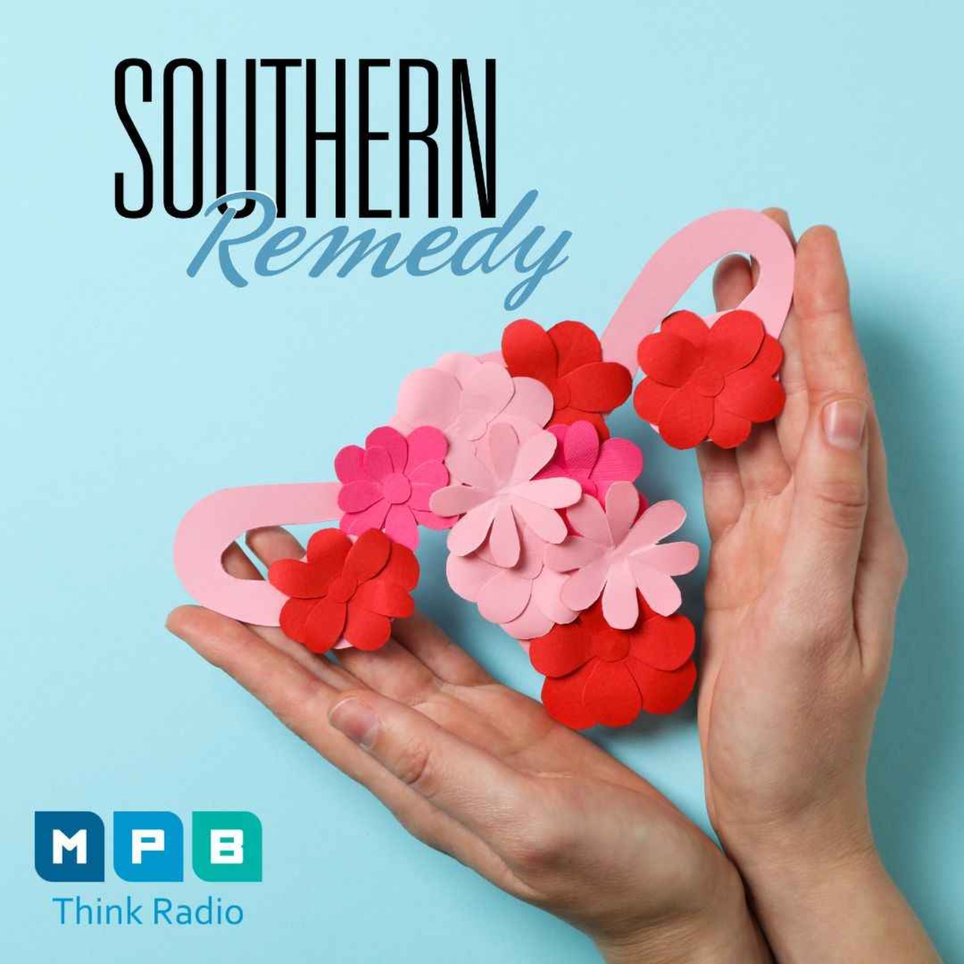 cover art for Southern Remedy for Women | Menstruation