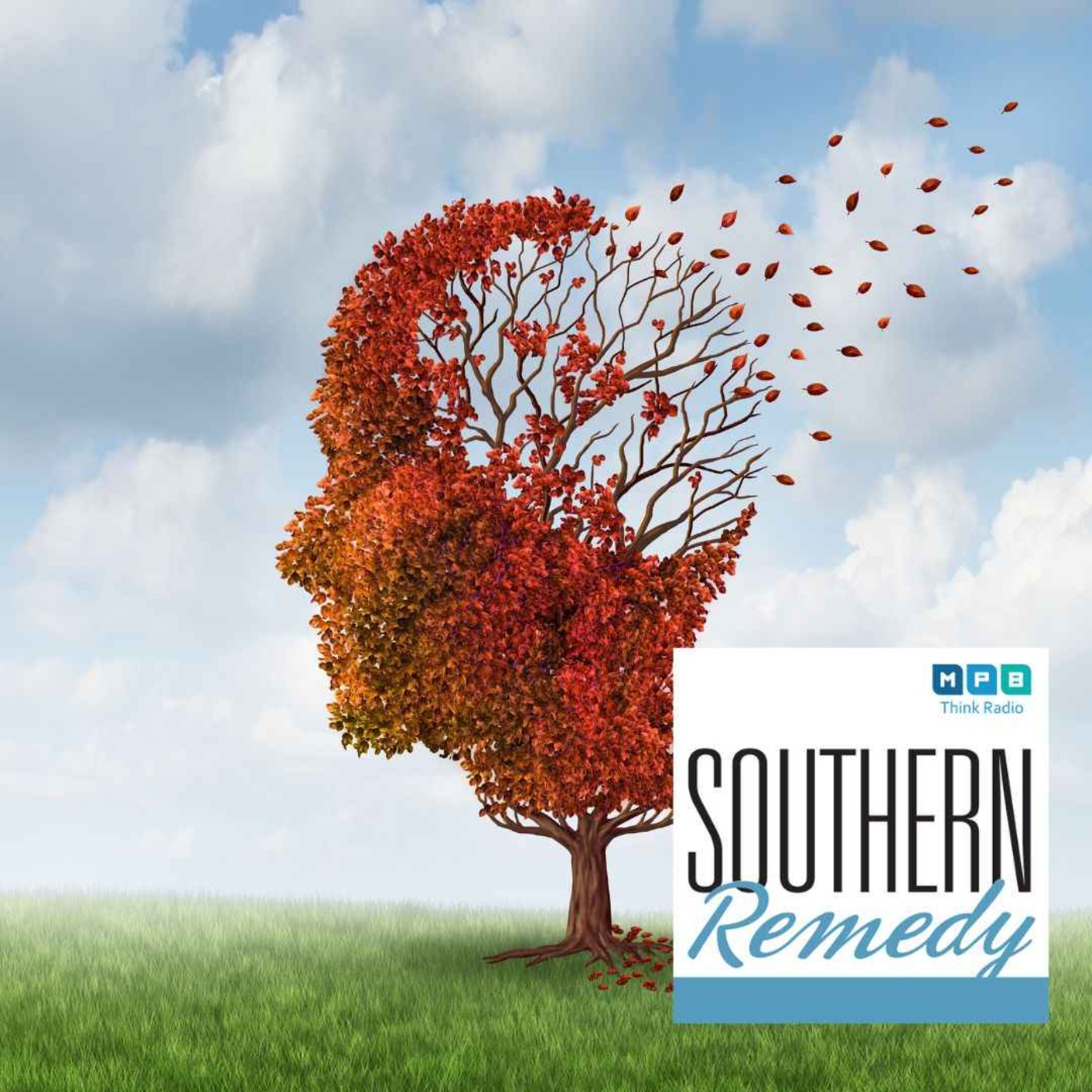 cover art for Southern Remedy Relatively Speaking | Executive Function
