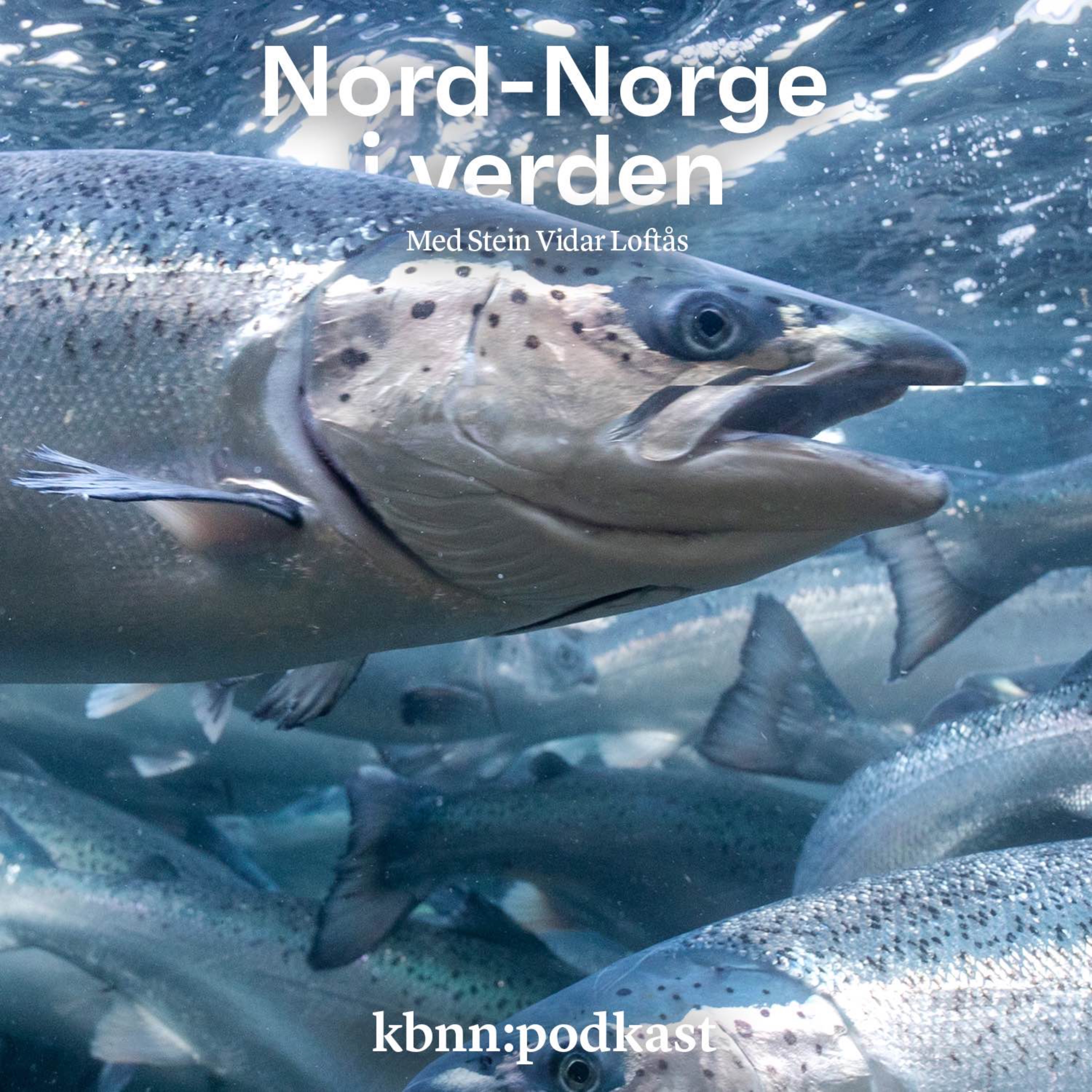 Nord-Norge i verden