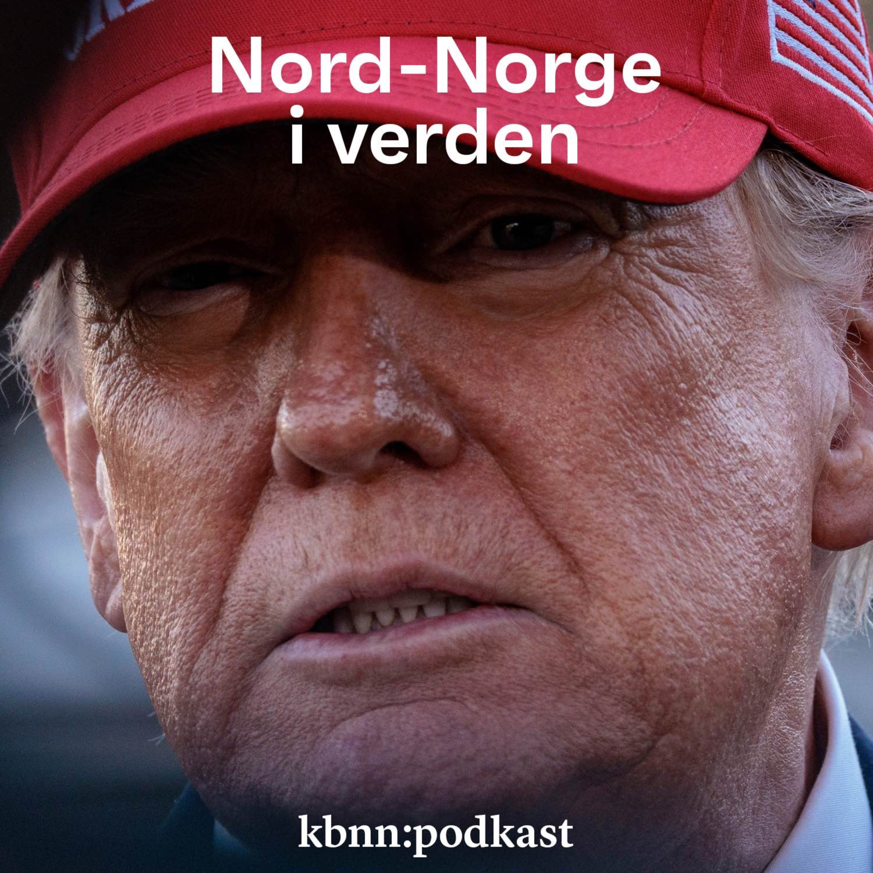 Nord-Norge i verden
