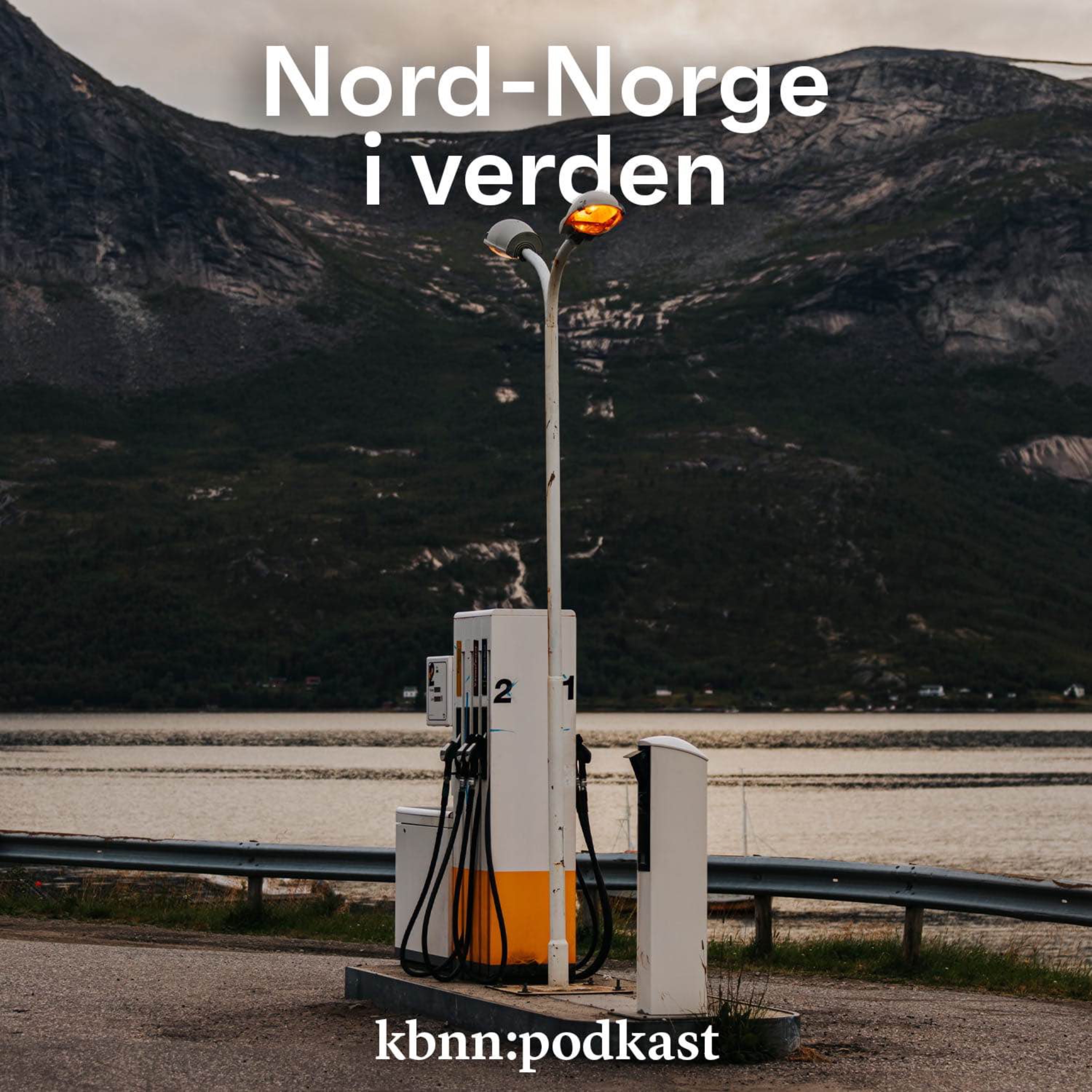 Nord-Norge i verden