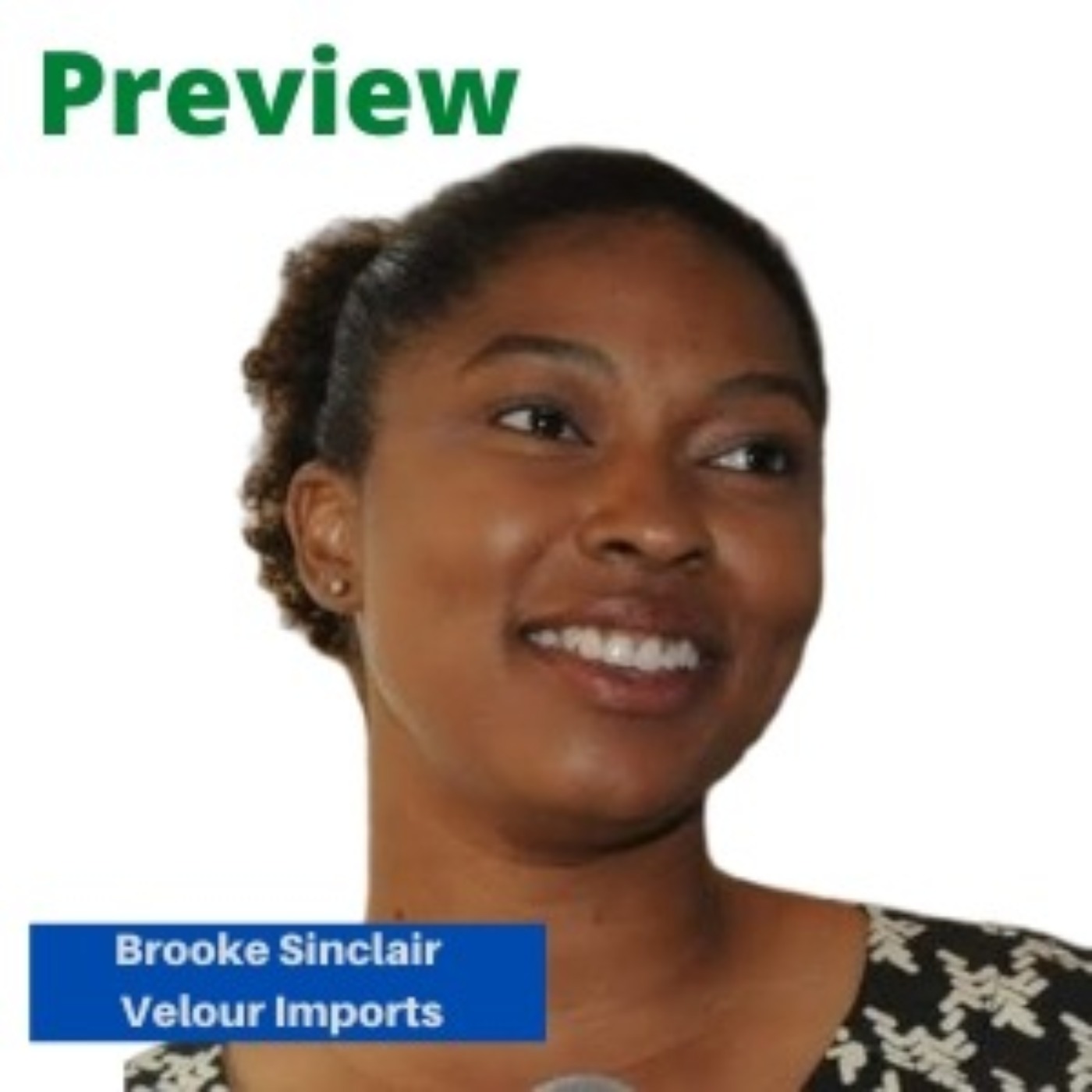 PREVIEW: Brooke Sinclair, Velour Imports