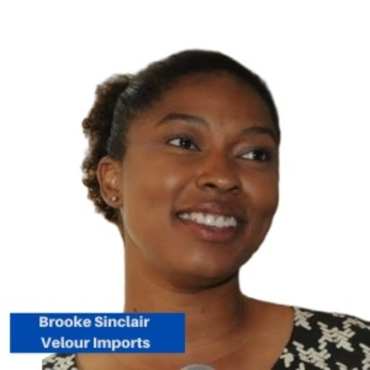 Brooke S. Sinclair, Velour Imports