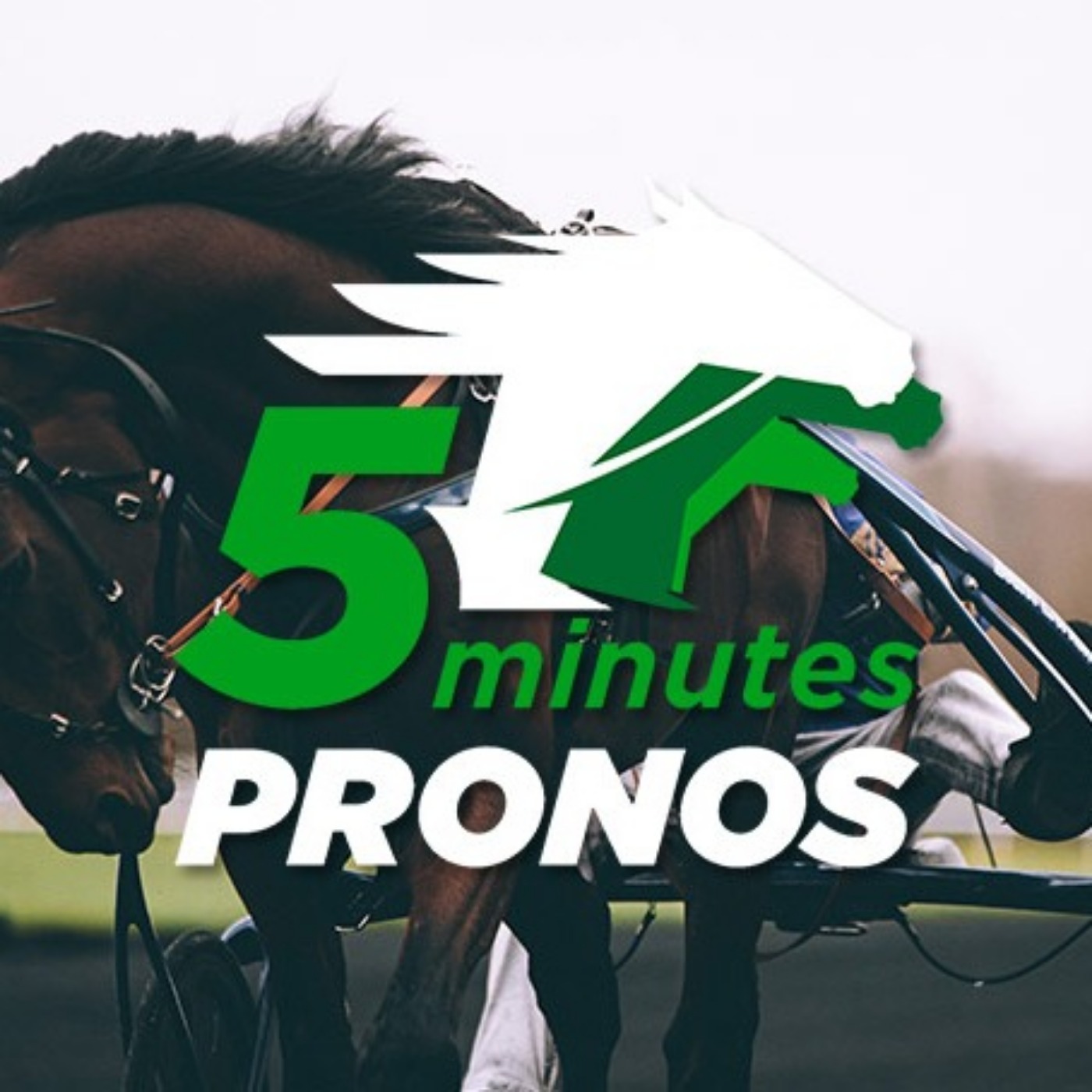 Courses hippiques du week-end du 29 et 30 août