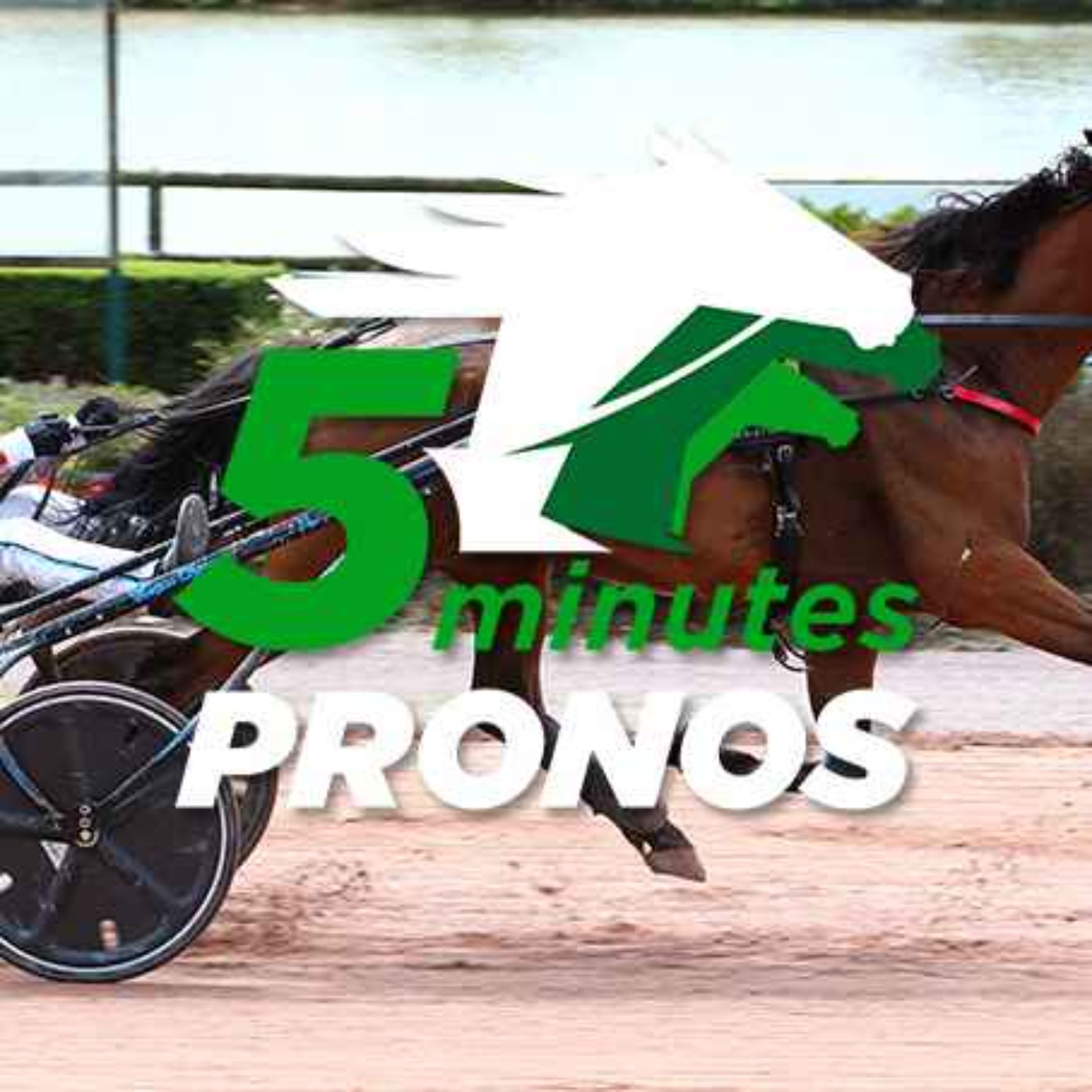 5 minutes pronos