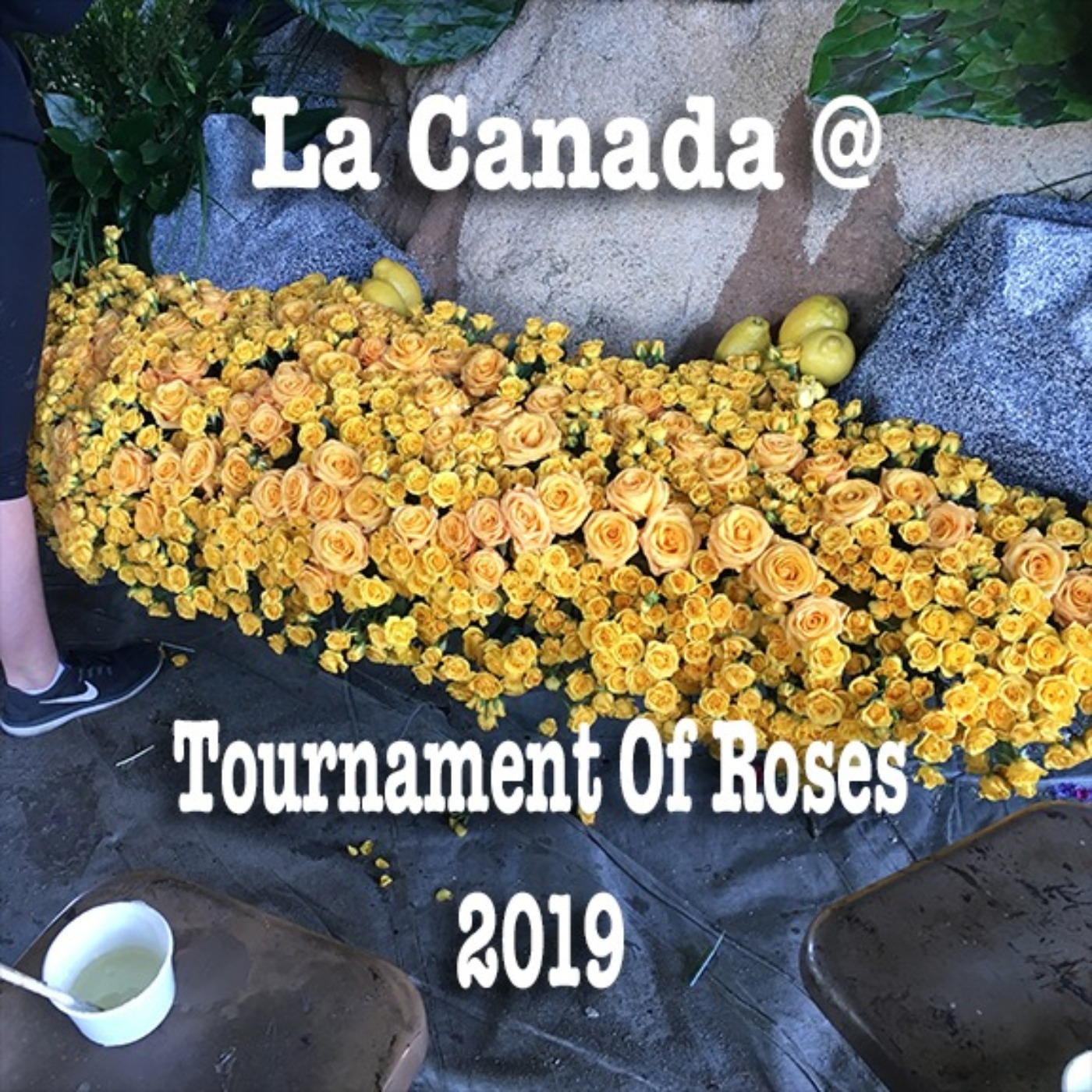 BCR #28: "Tournament of Roses" Parade