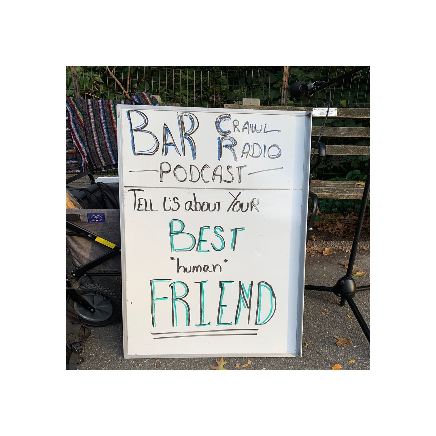 Best "human" Friend