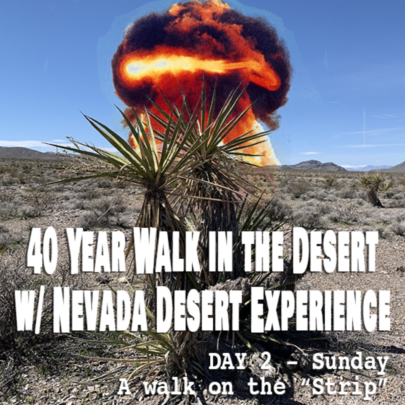 cover art for Desert Walk #3: Walk on the Strip / Talk with Darcy Ike