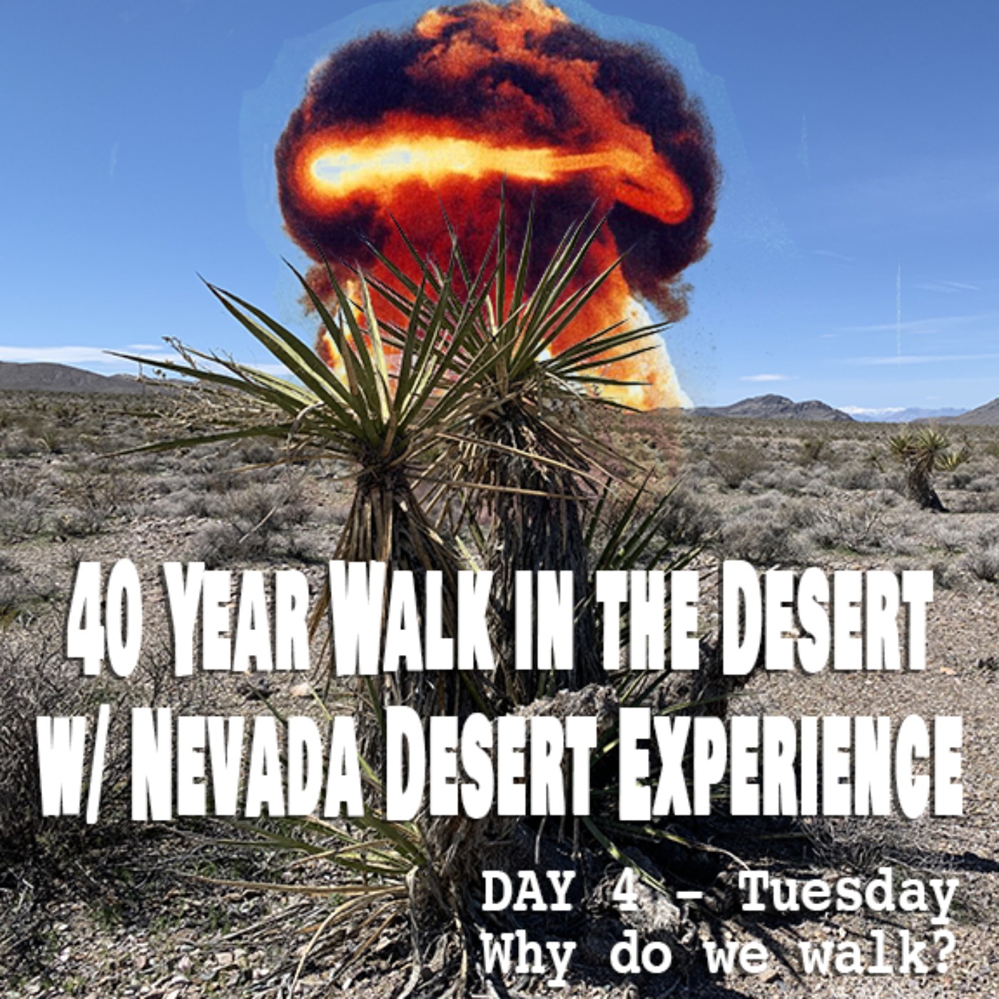 Desert Walk #5: Why do we walk?