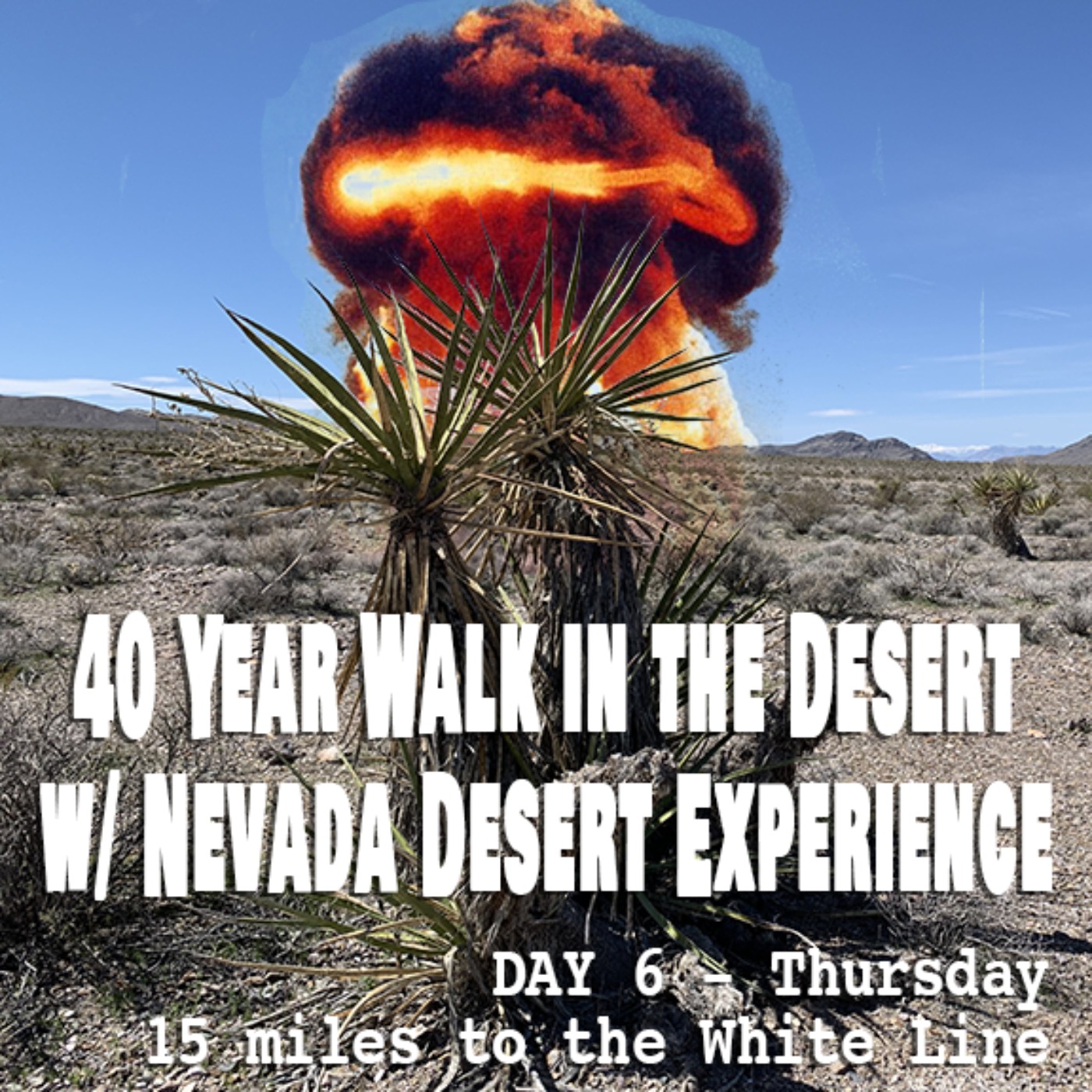 Desert Walk #7: Walk to the White Line