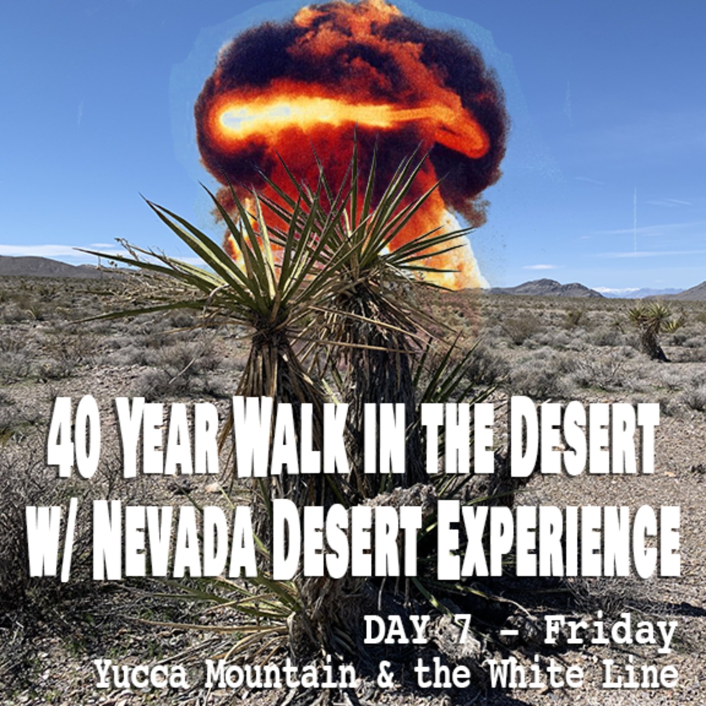 Desert Walk #8: The White Line