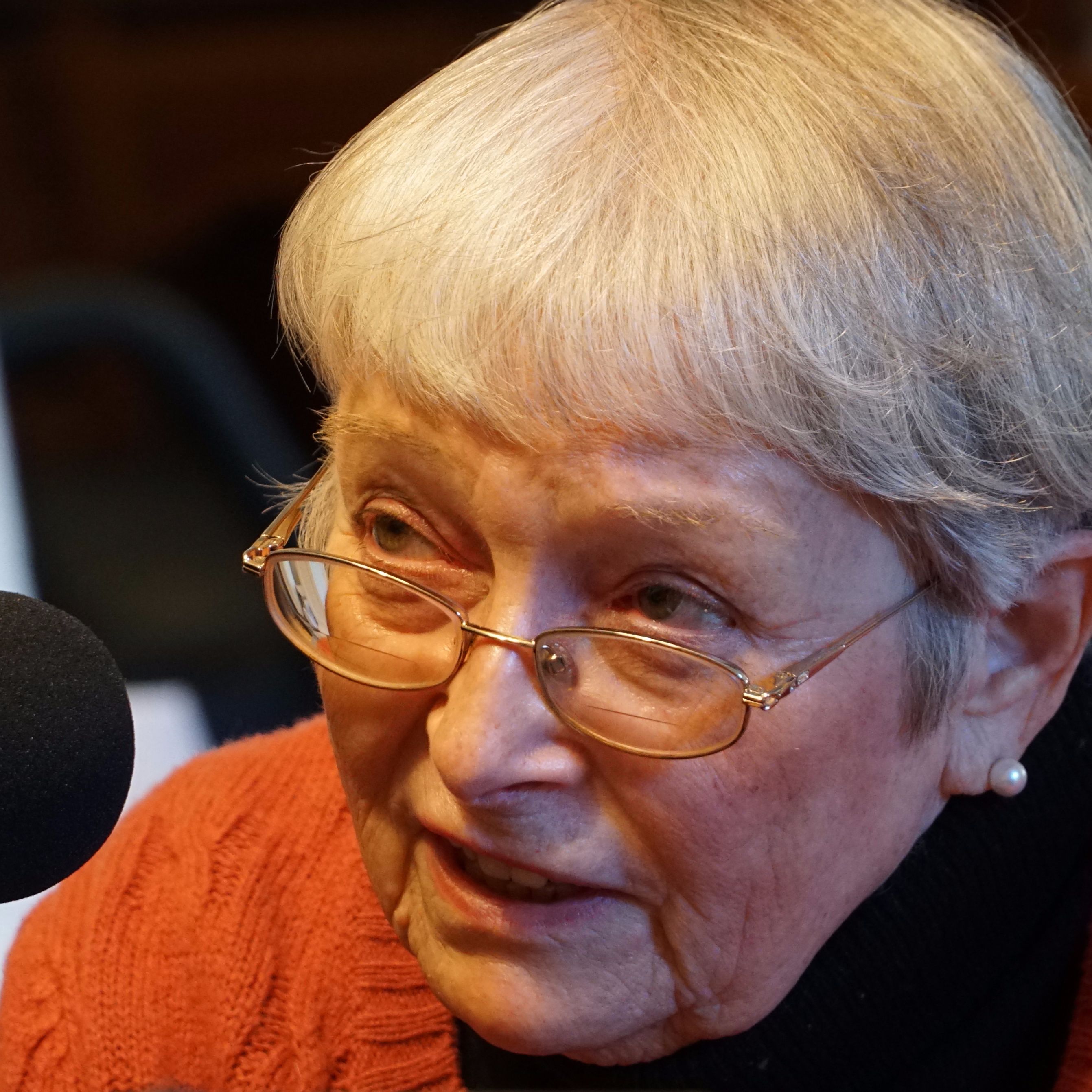 Combing through rich Guilderland heritage — Mary Ellen Johnson, Nov. 16, 2017