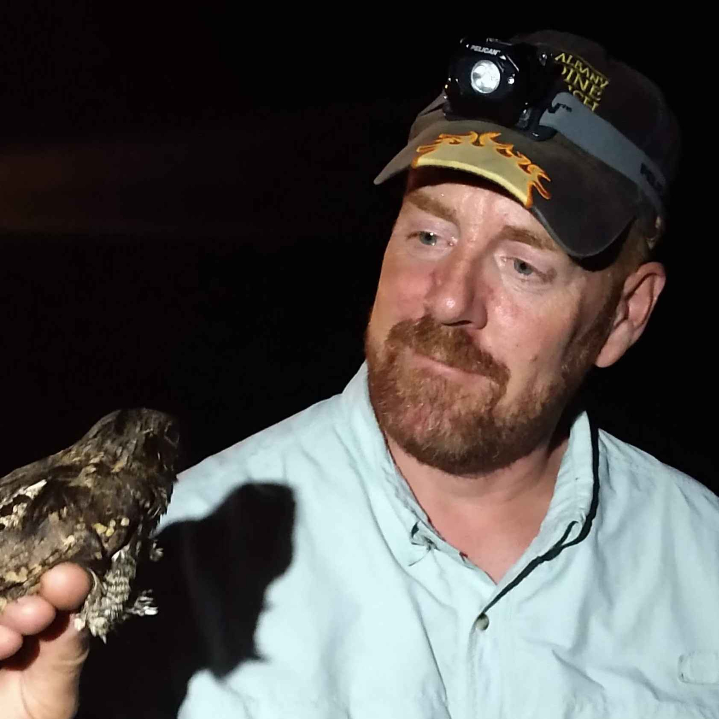 Neil Gifford — bringing butterflies back from the brink of extinction
