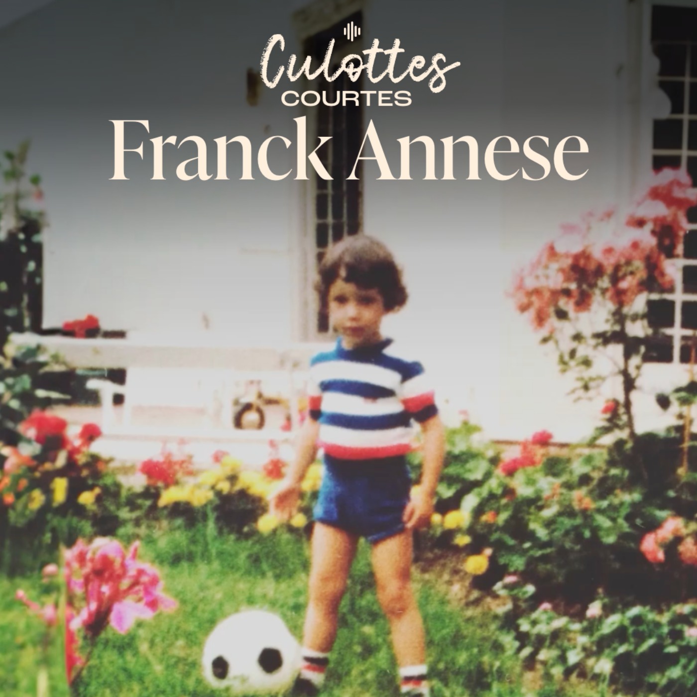 cover art for Franck Annese