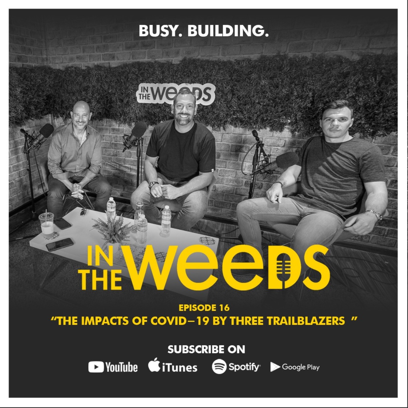 In The Weeds Show