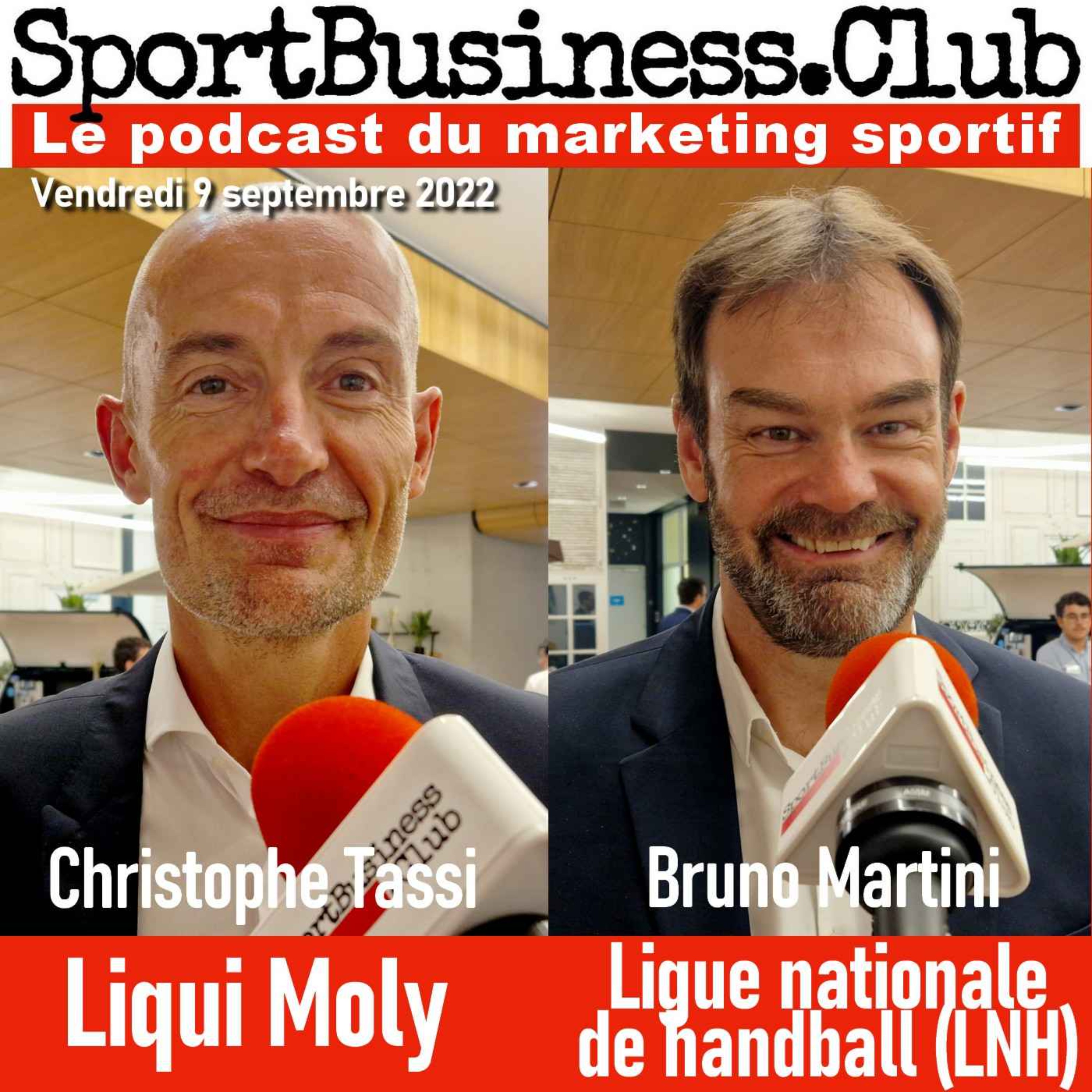 cover art for Liqui Moly et le handball français