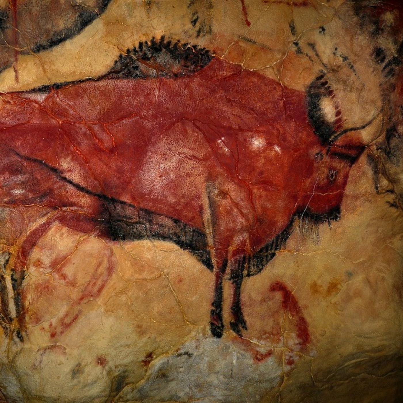 Prehistory. A Modern Enigma