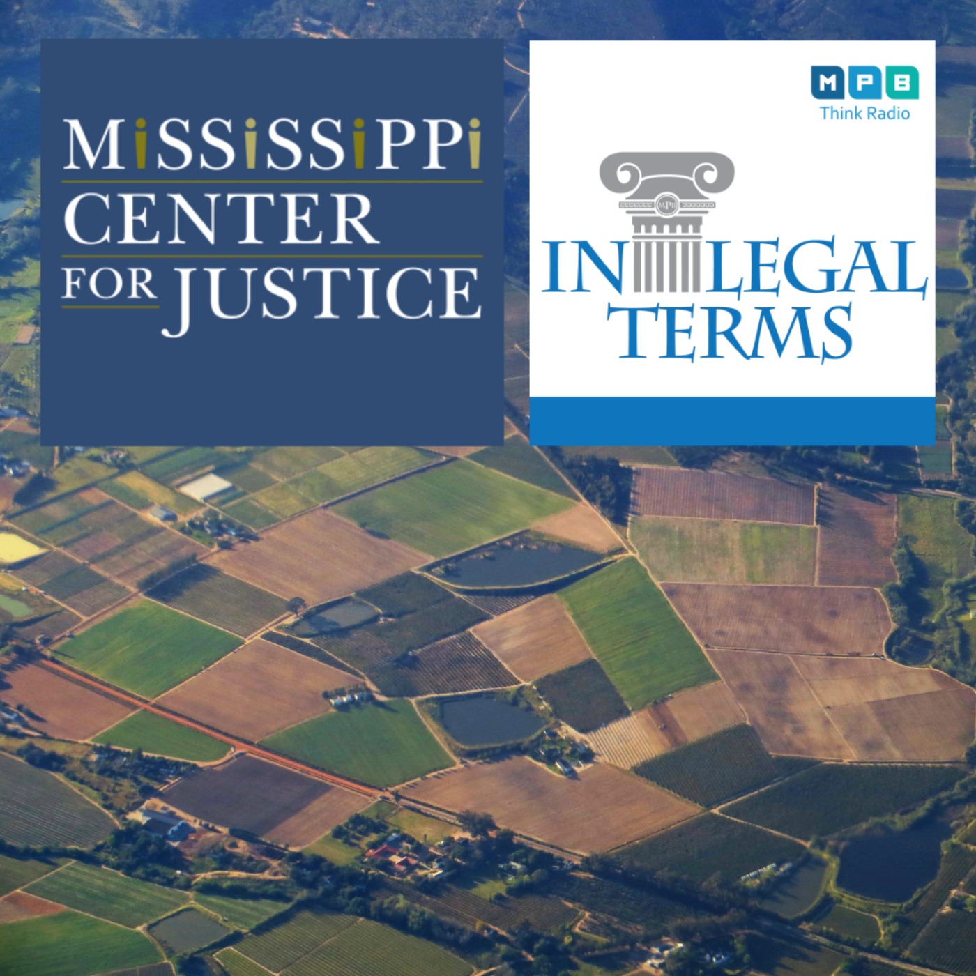 cover art for In Legal Terms: MCJ Heirs' Property