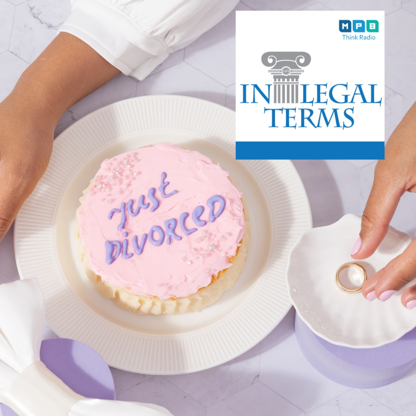 cover art for In Legal Terms: Divorce Preparation 