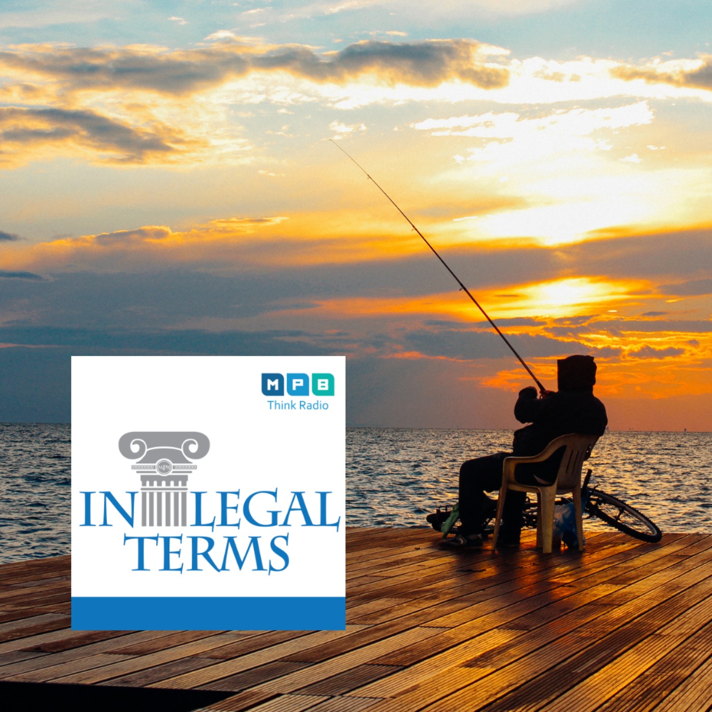 cover art for In Legal Terms: Hunting & Fishing