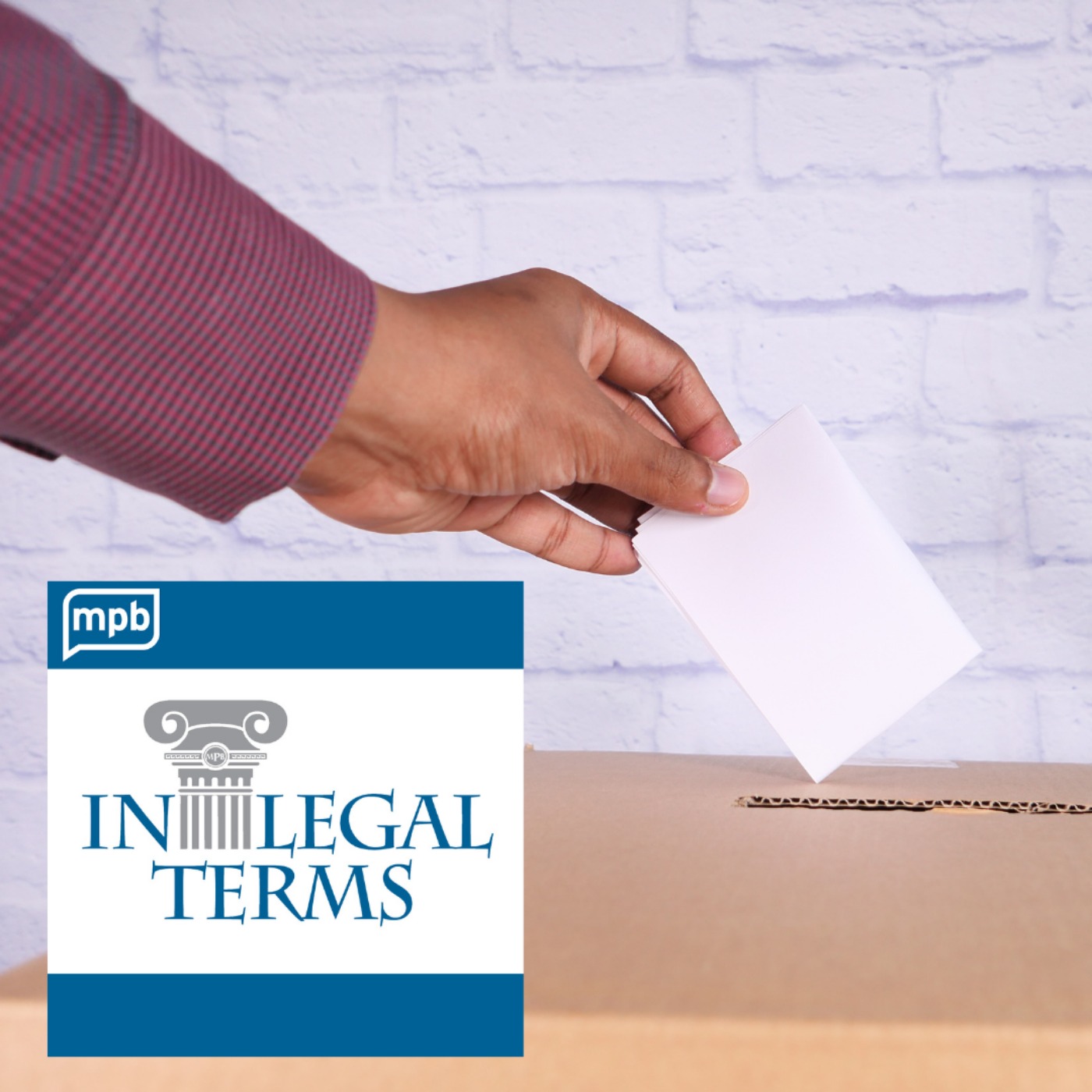 cover art for In Legal Terms: Voting with LWV-MS