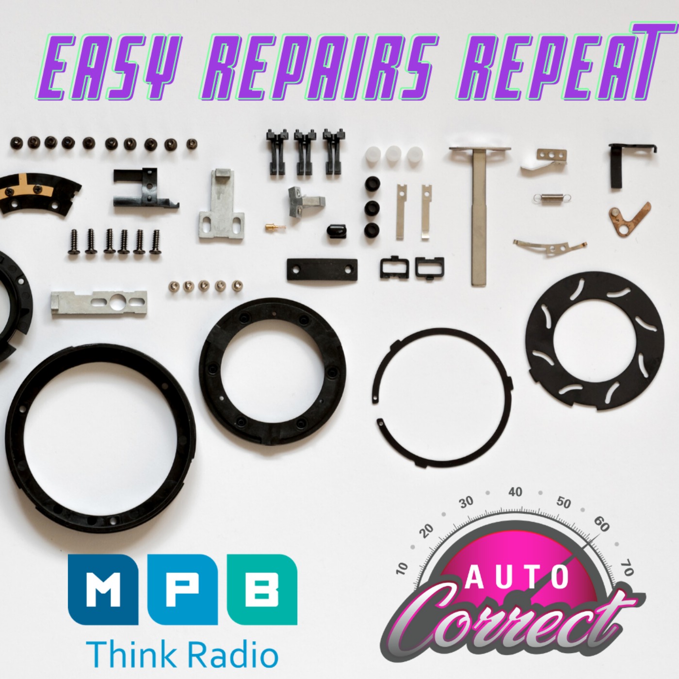cover art for Auto Correct: Easy Repairs Encore