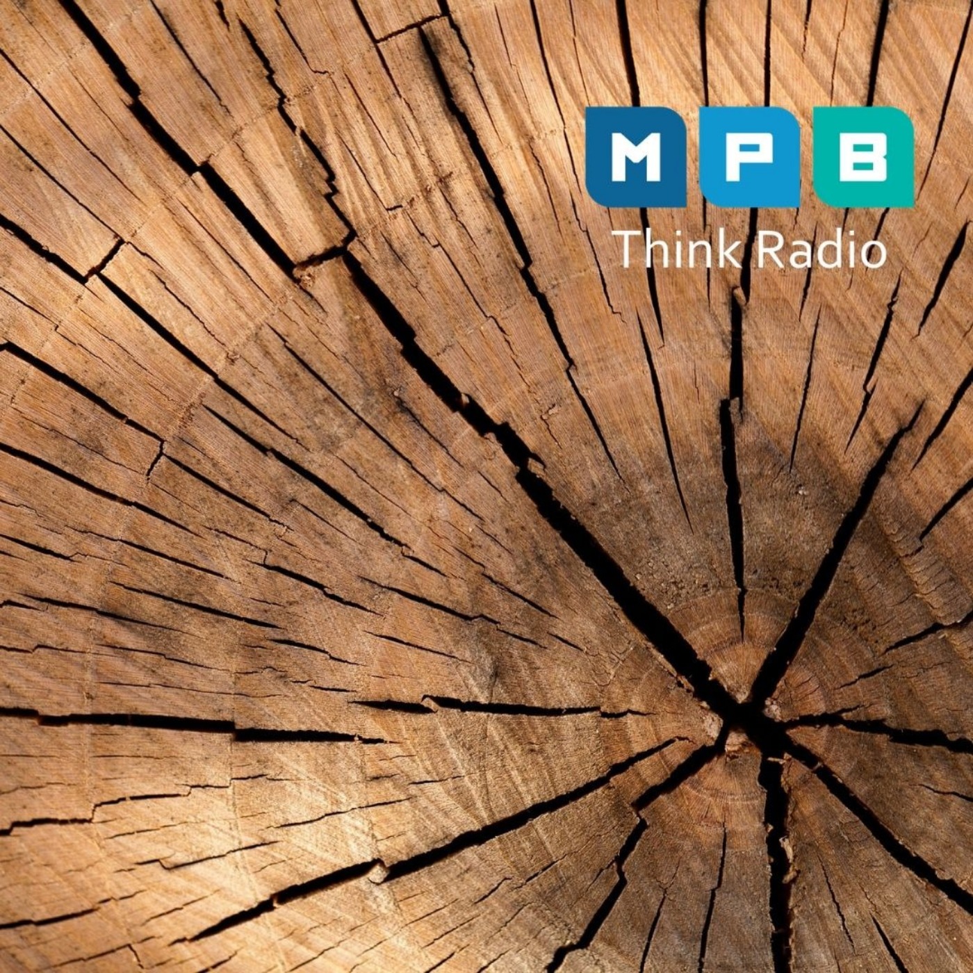 Creature Comforts: Urban Forest