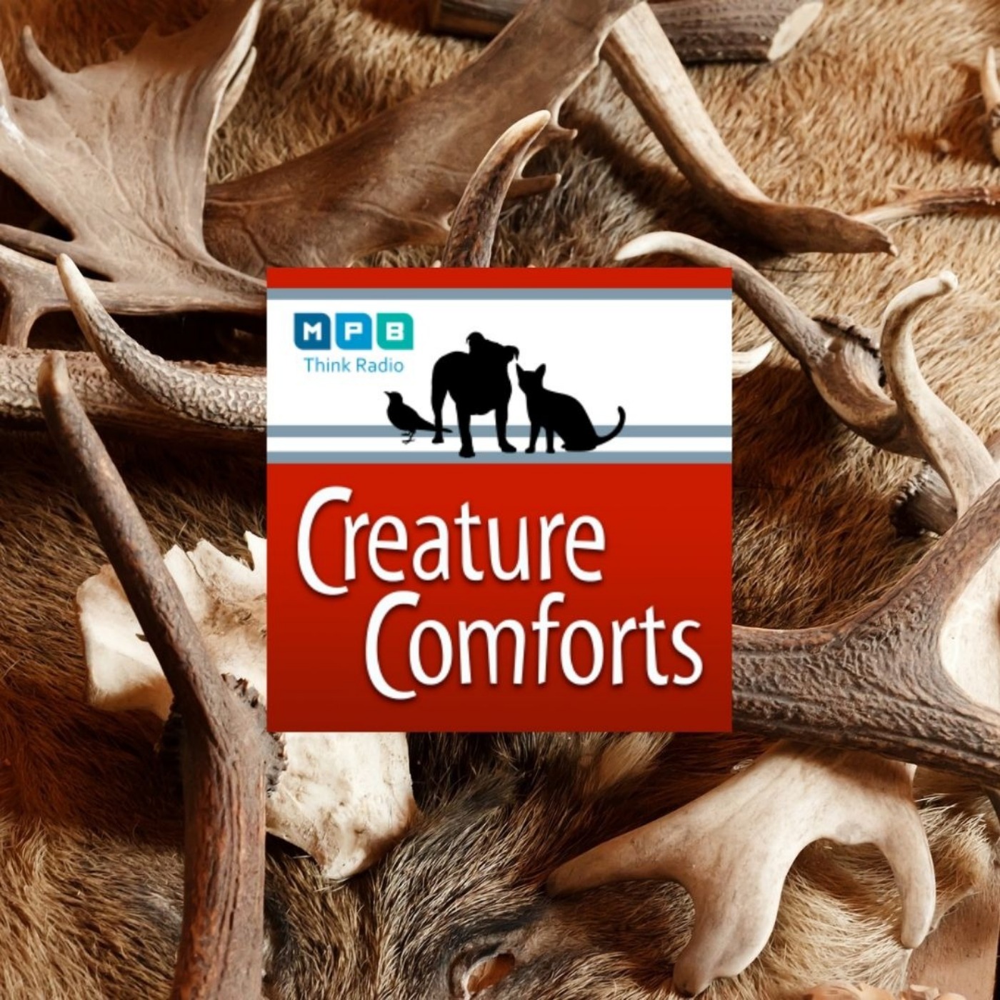 Creature Comforts: Hunter Education