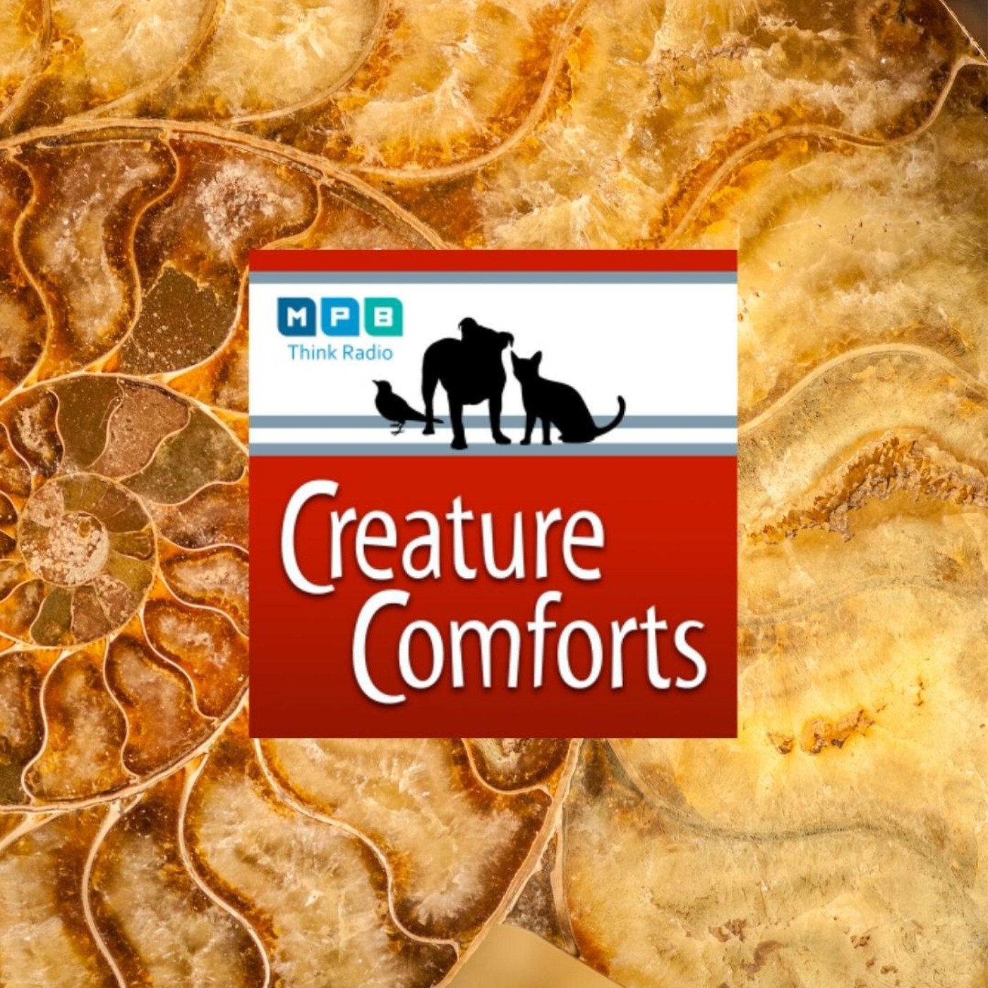 Creature Comforts: Red Hot Truck Stop