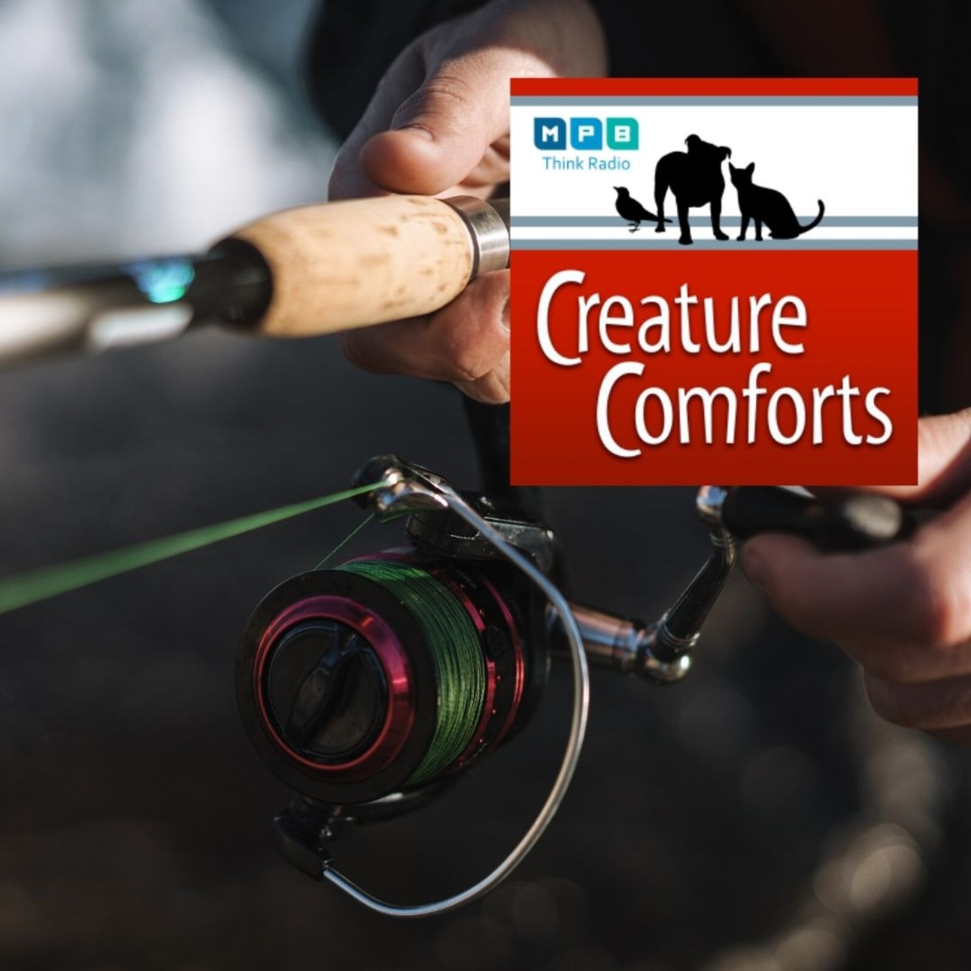 Creature Comforts: Rod & Reel
